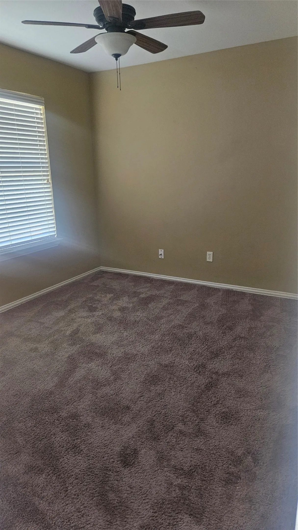 Neutral-toned walls complement the plush carpeting