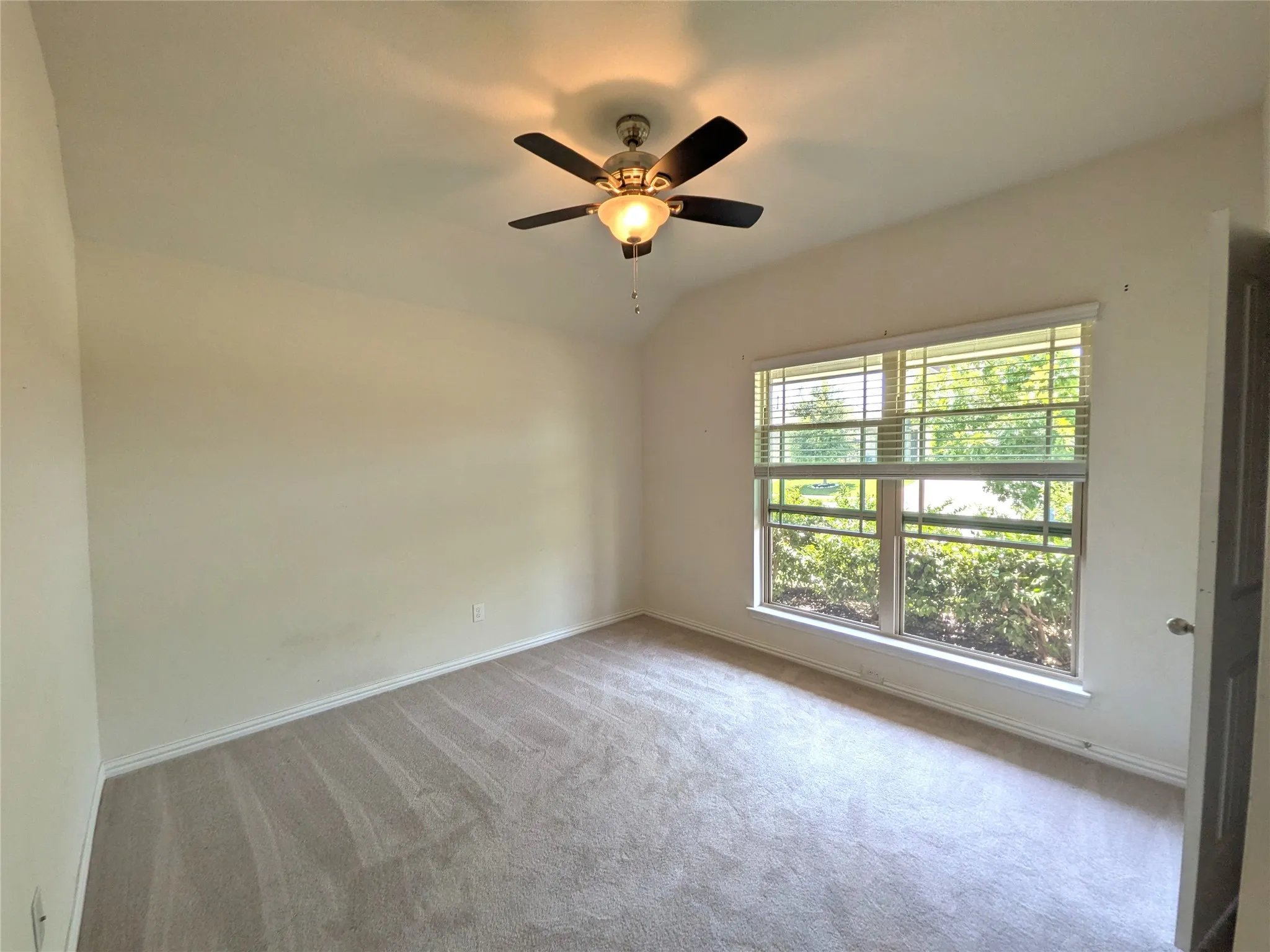 Bright and airy bedroom with abundant natural light from large multi-pane windows, wood-finish flooring, and ceiling fan with integrated lighting fixture
