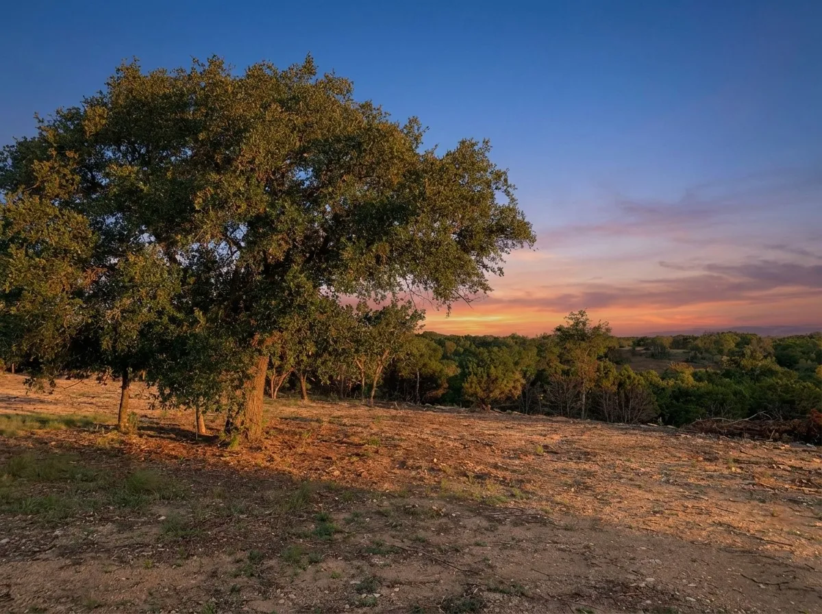 Unimproved Land For Sale in Somervell County , 1101 Creek Crossing Road, Nemo, Texas 76070, 0, 0, Garage spaces, 0 Sqft, built in 0, Price $85,000, mls#21349803, Real Estate Agent in Nemo, Homes For Sale in Somervell county, Homes For Sale in Nemo, Realtor in Nemo Texas, Real Estate Brokerage Independent Realty Texas, Luminita Cordes Realtor