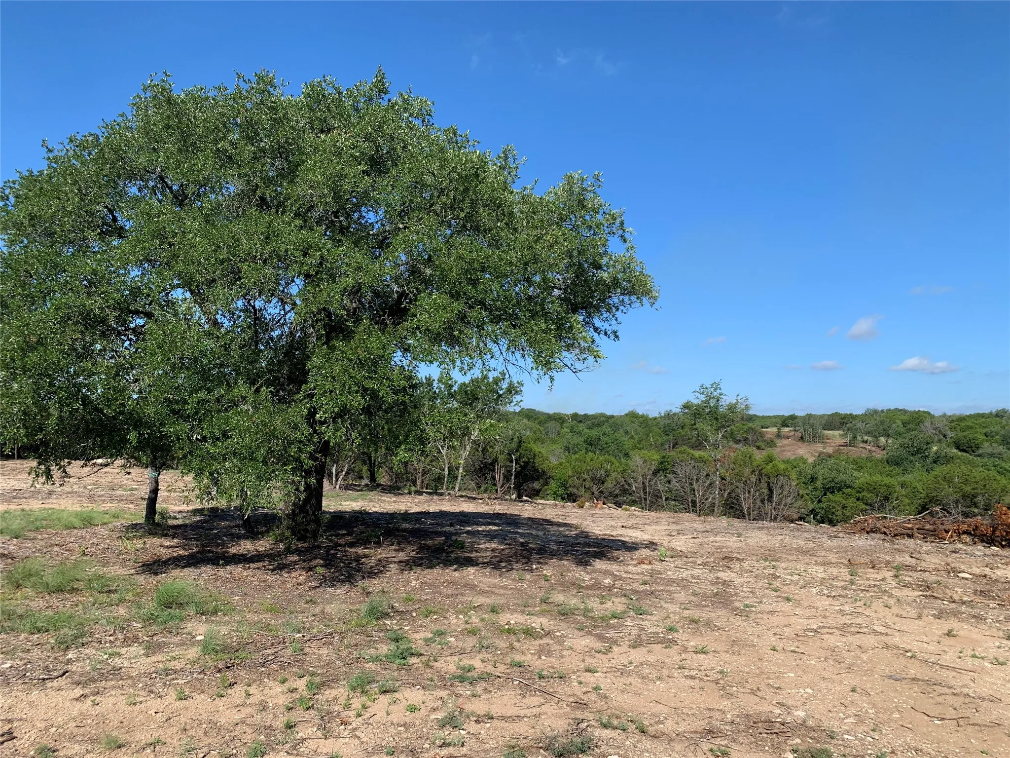Unimproved Land For Sale in Somervell County , 1101 Creek Crossing Road, Nemo, Texas 76070, 0, 0, Garage spaces, 0 Sqft, built in 0, Price $85,000, mls#21349803, Real Estate Agent in Nemo, Homes For Sale in Somervell county, Homes For Sale in Nemo, Realtor in Nemo Texas, Real Estate Brokerage Independent Realty Texas, Luminita Cordes Realtor