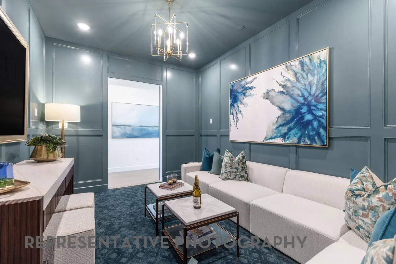 Entertainment Room