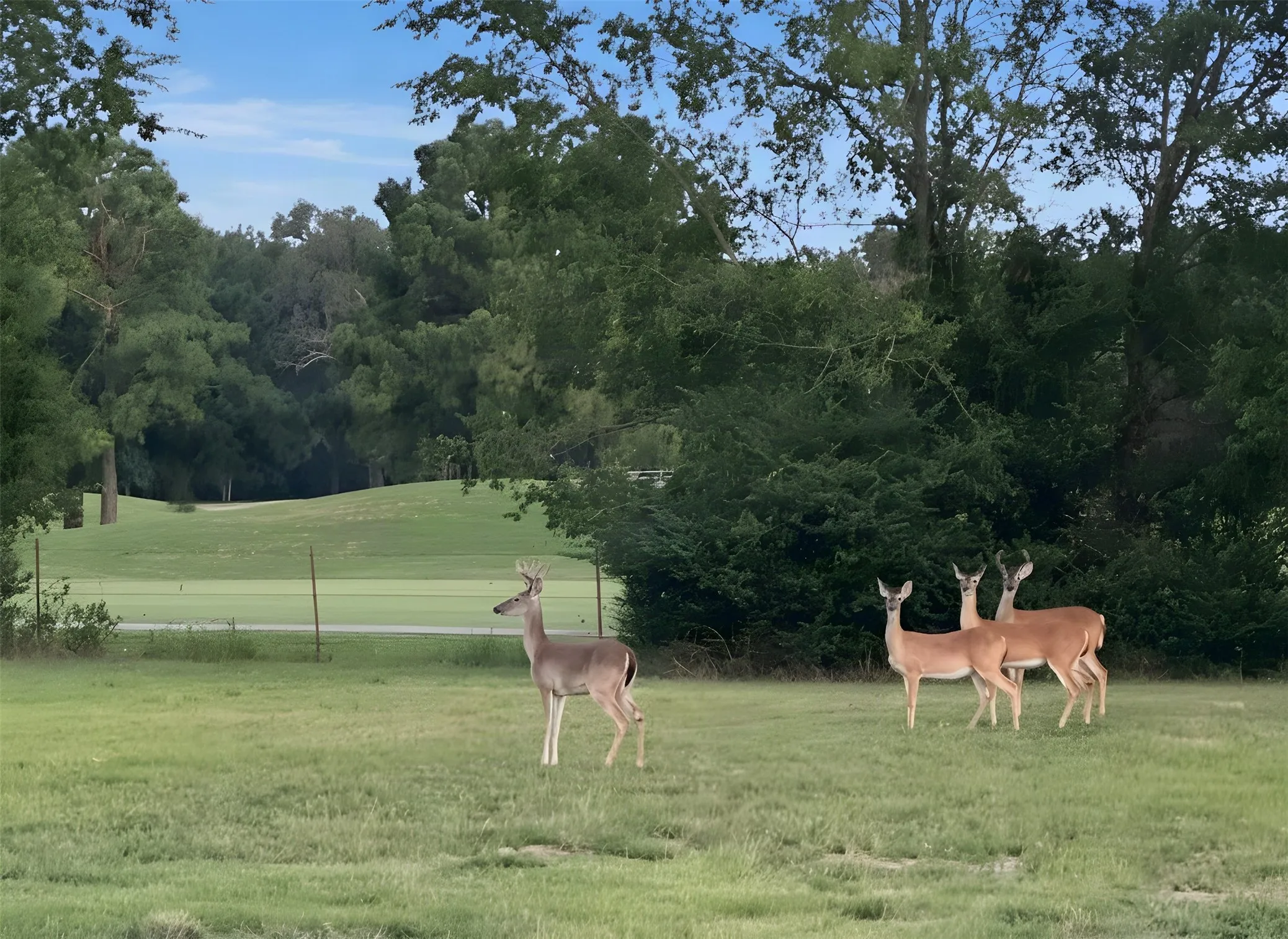 Single Family Residence For Sale in Hopkins County , 2168 I-30 W, Sulphur Springs, Texas 75482, 4 Bedroom, 3 Bathroom, 2 Garage spaces, 2,700 Sqft, built in 2022, mls#21338439, Real Estate Agent in Sulphur Springs, Homes For Sale in Hopkins county, Homes For Sale in Sulphur Springs, Realtor in Sulphur Springs Texas, Real Estate Brokerage Independent Realty Texas, Luminita Cordes Realtor