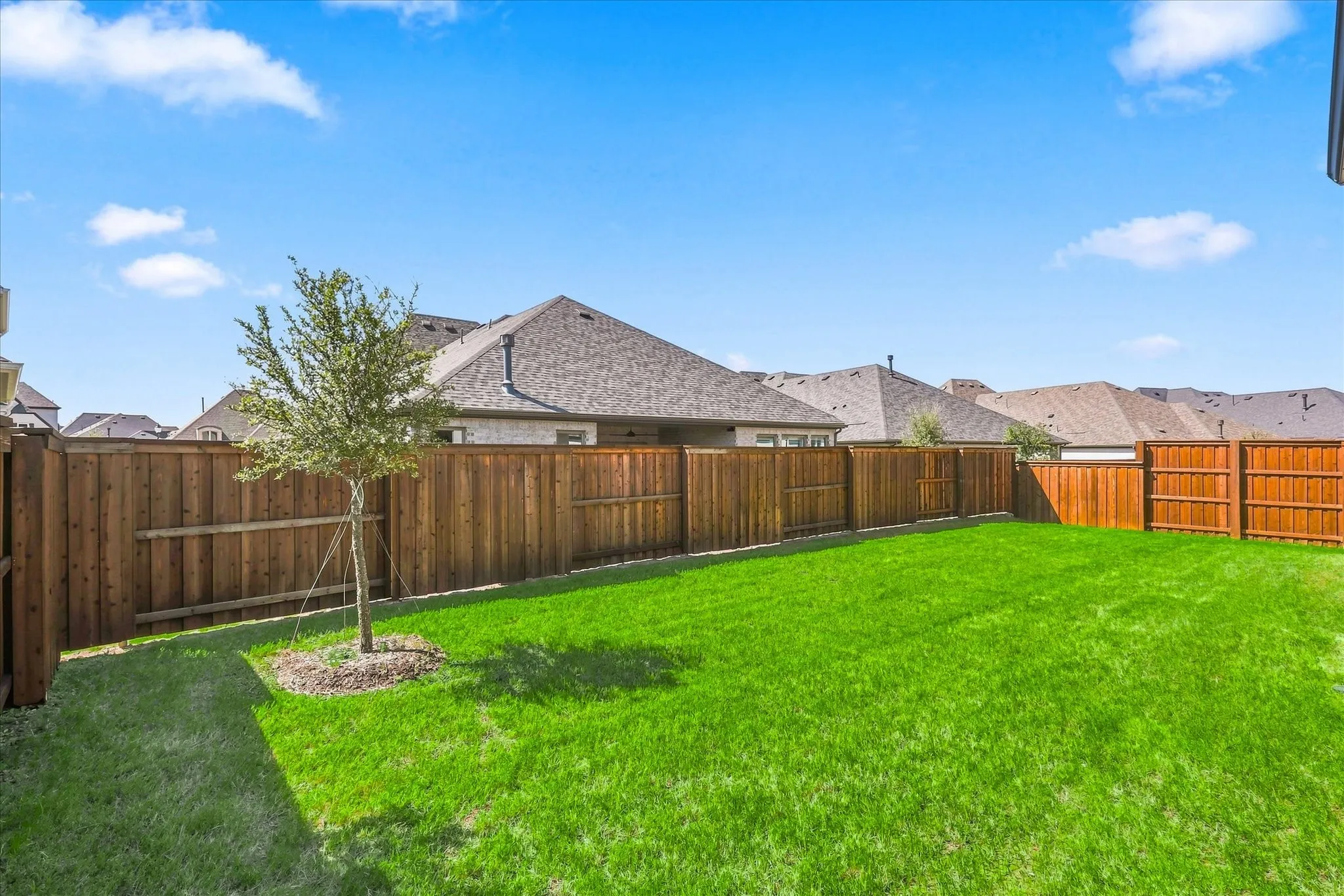Expansive backyard featuring a manicured lawn, established tree, and stained wood privacy fencing