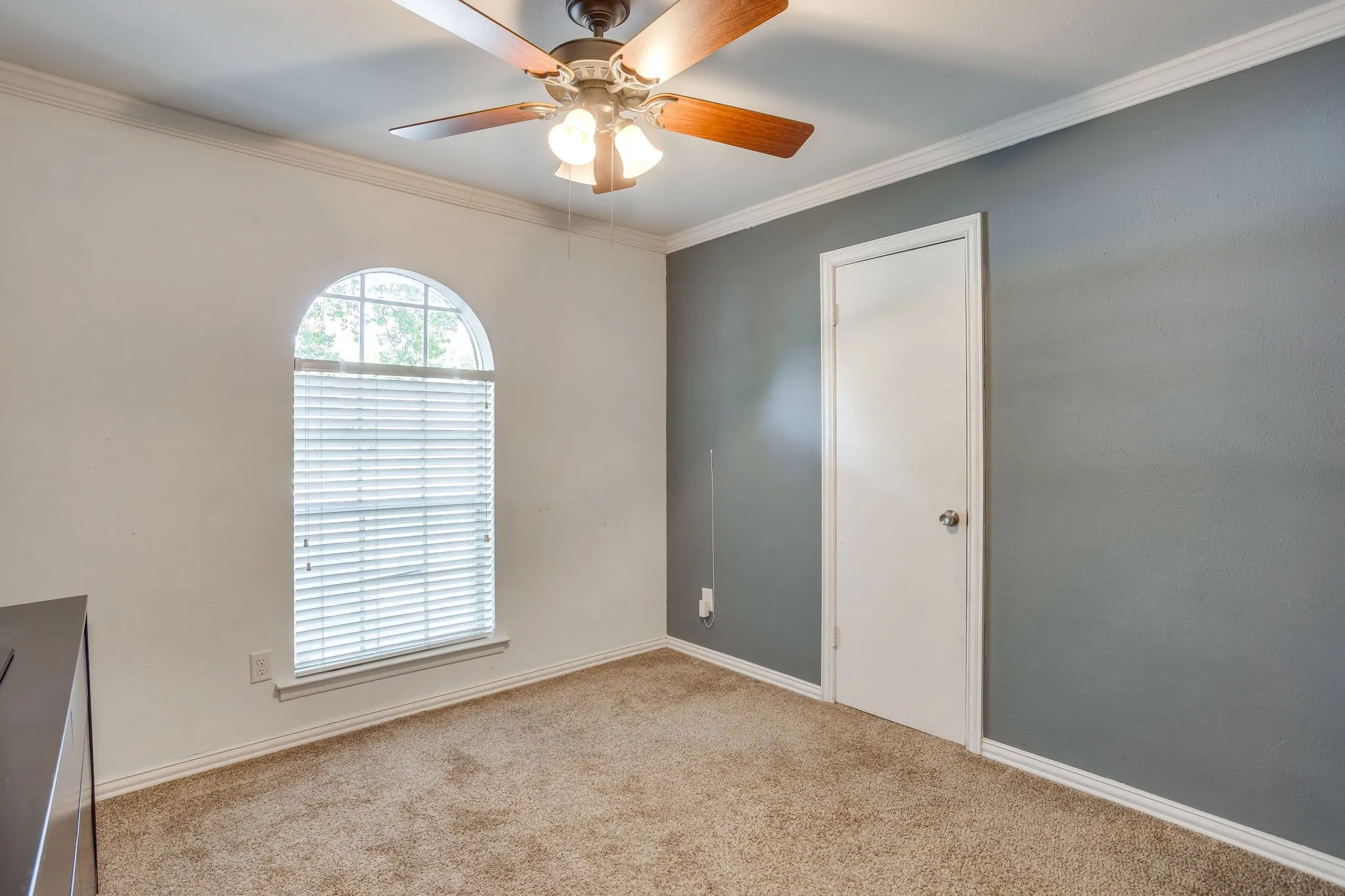 Carpeted room featuring an arched window with blinds, a ceiling fan with light fixture, white trim, and two-tone wall paint
