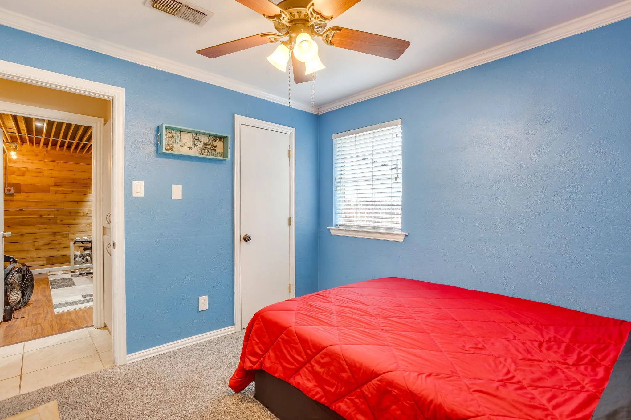Room featuring blue walls, white trim, a ceiling fan with light fixture, and a window with blinds