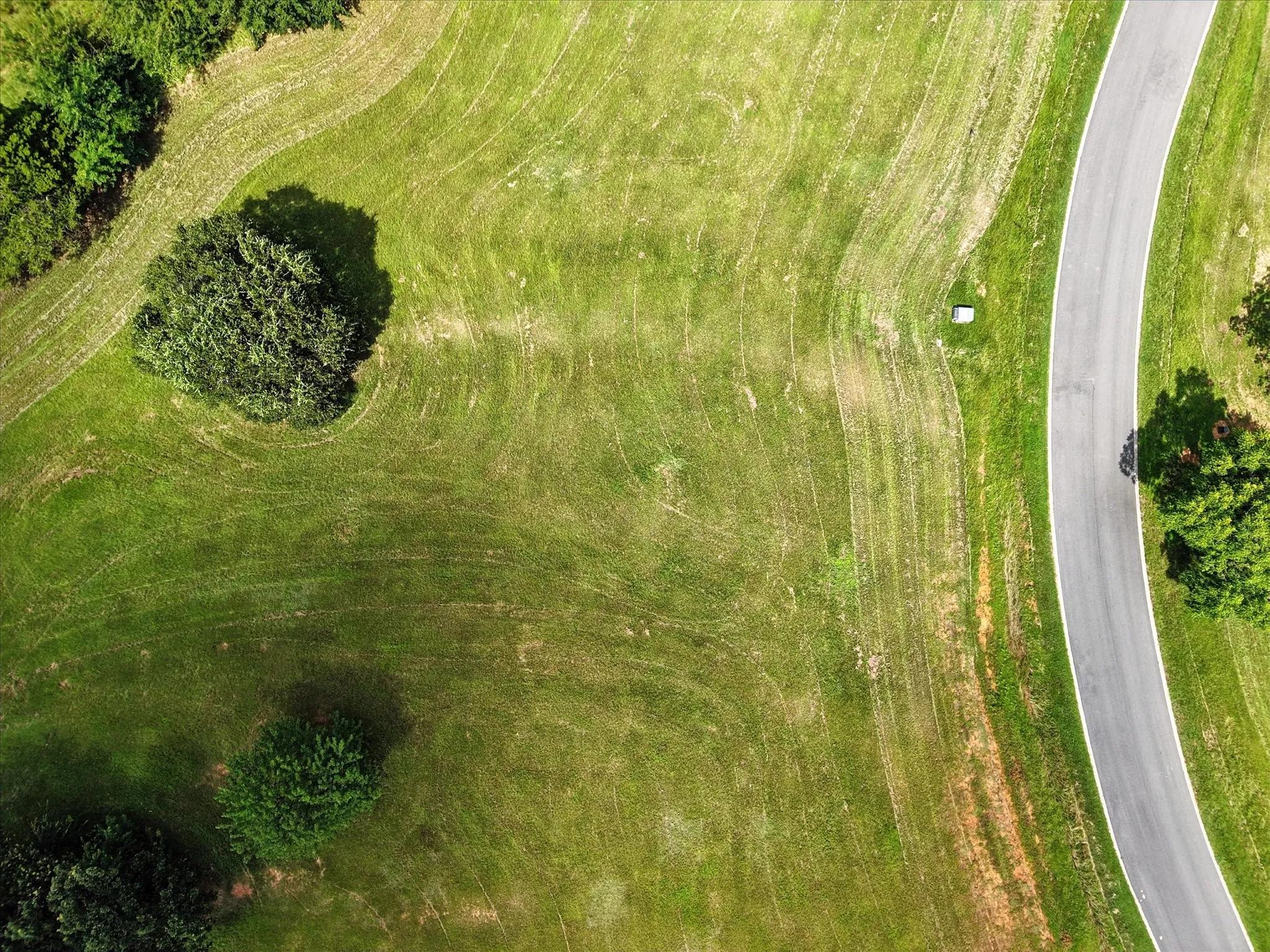 Expansive manicured grounds featuring rolling green lawn with mature tree clusters and a paved driveway access running through the property