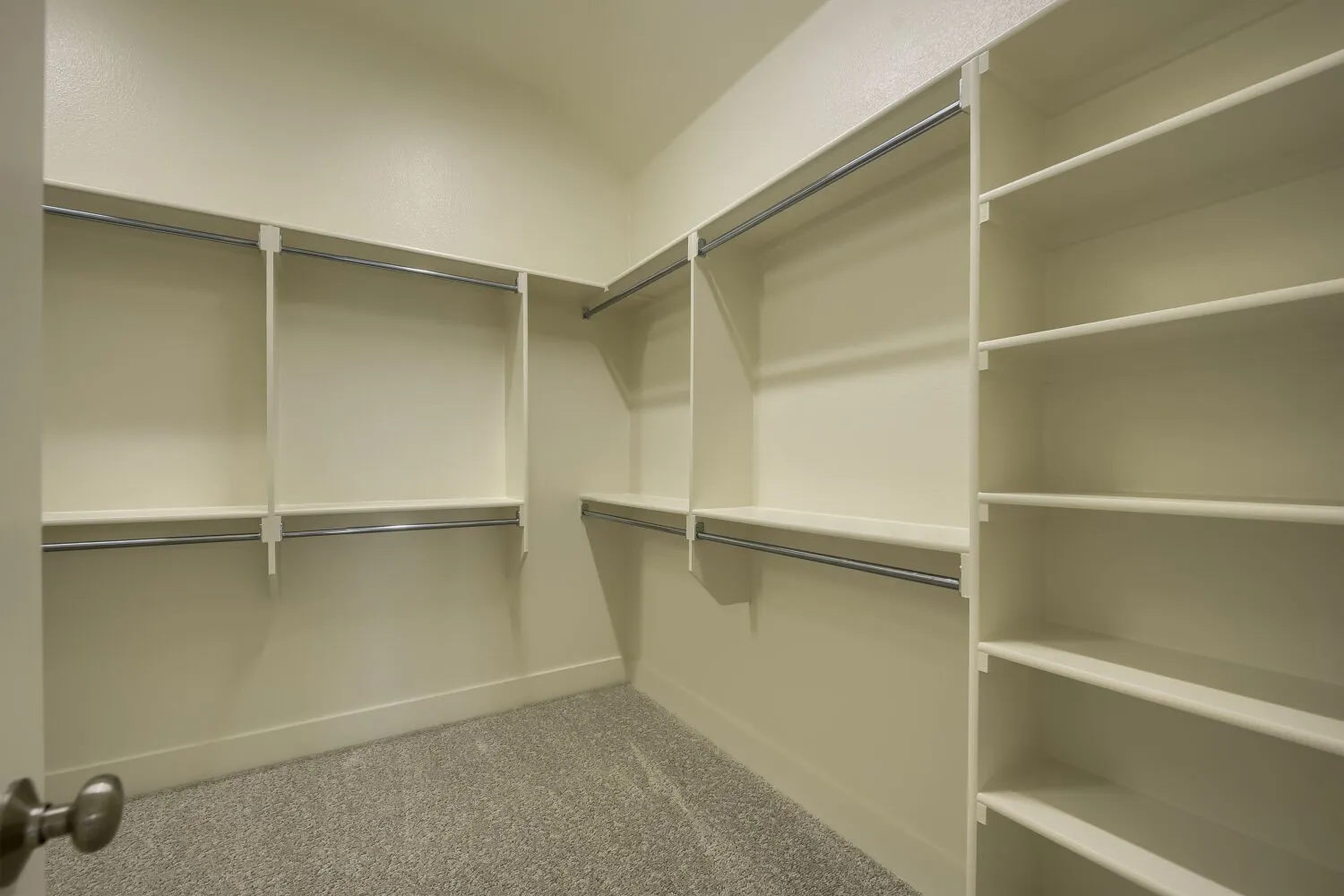Integrated shelving system, multiple hanging rods, built-in storage, and carpet flooring