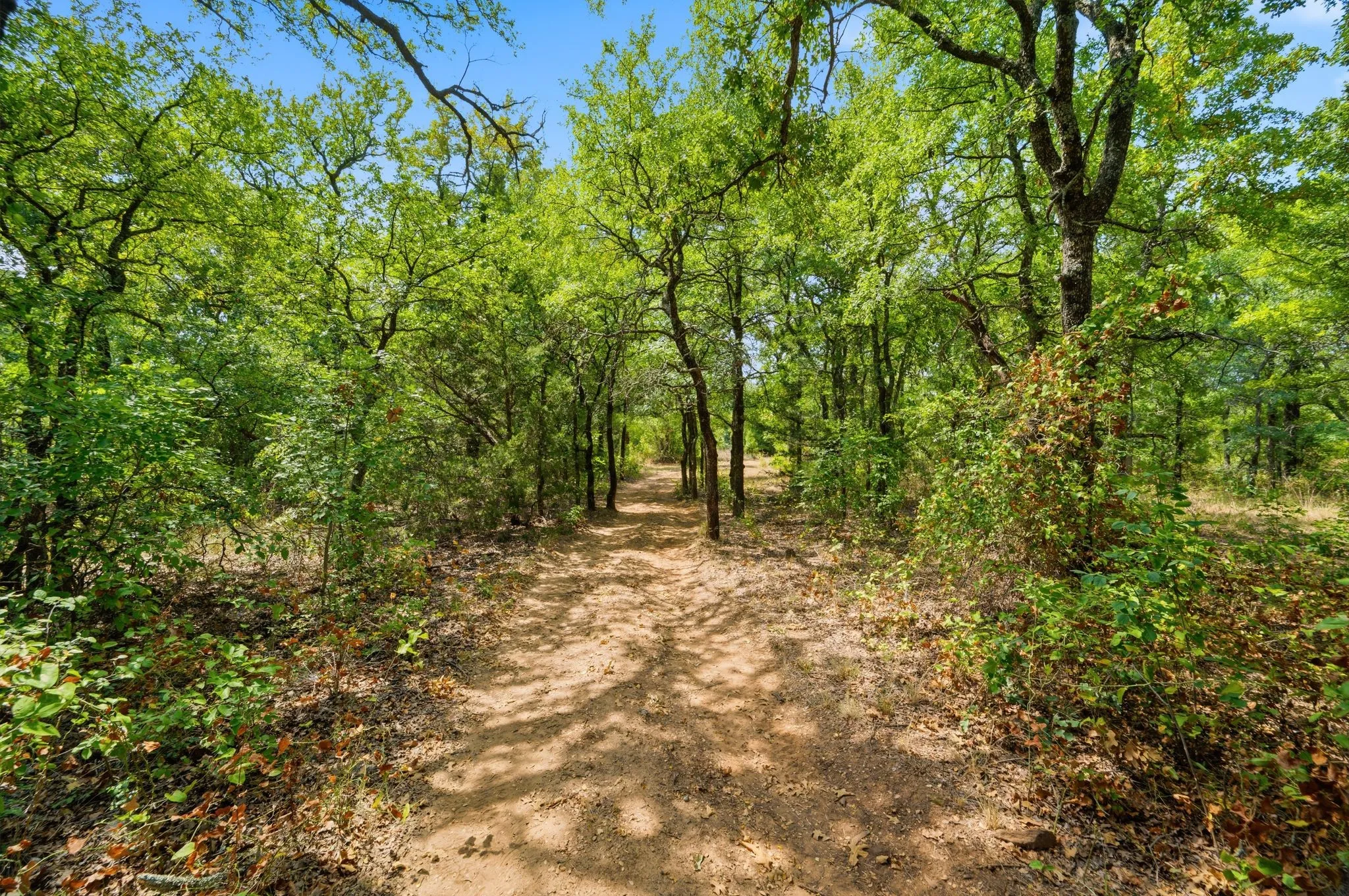 tons of trails throughout