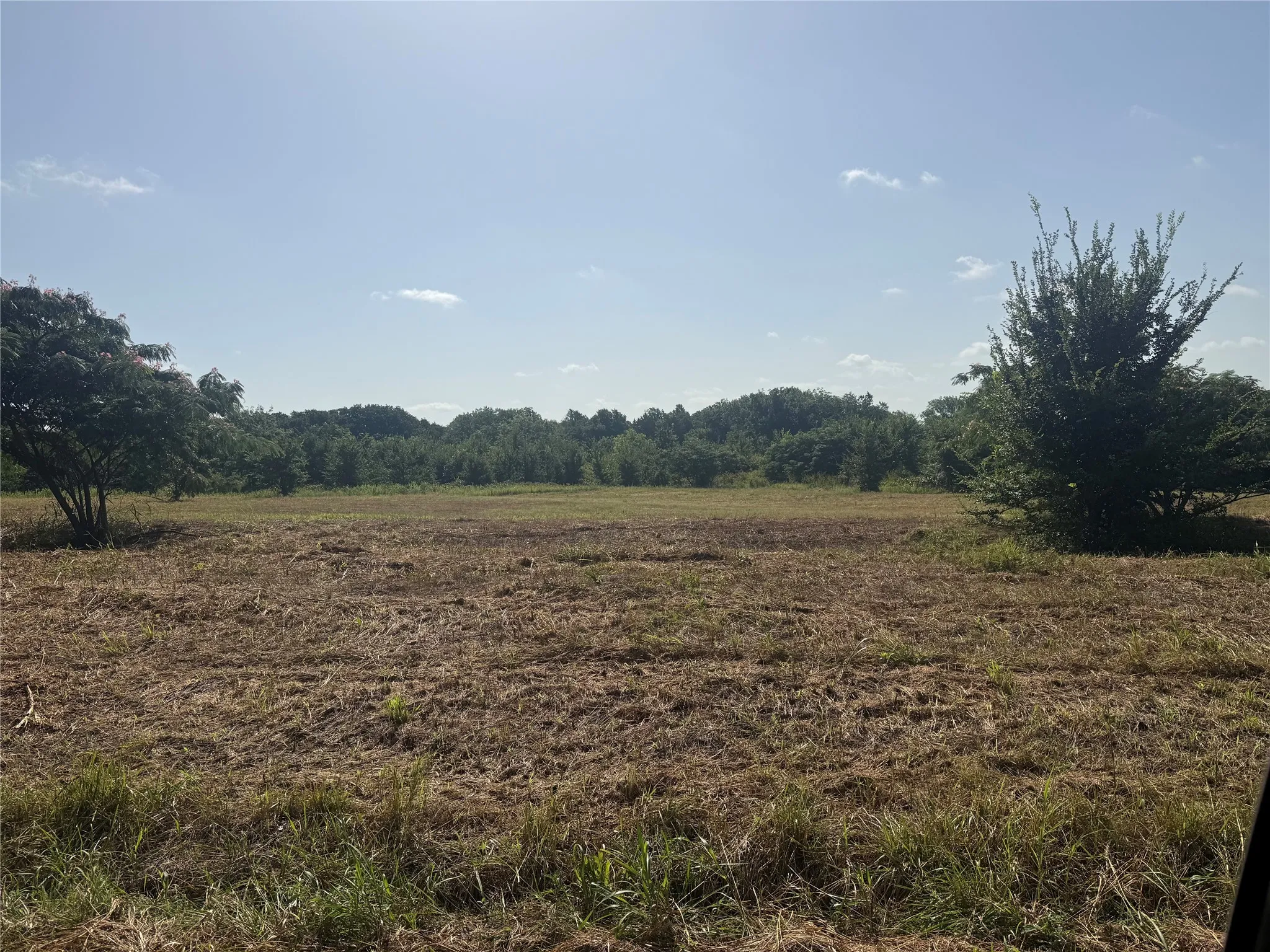 Unimproved Land For Sale in Grayson County , Lot 11 Reast Road, Whitesboro, Texas 76273, 0, 0, Garage spaces, 0 Sqft, built in 0, Price $59,900, mls#21348778, Real Estate Agent in Whitesboro, Homes For Sale in Grayson county, Homes For Sale in Whitesboro, Realtor in Whitesboro Texas, Real Estate Brokerage Independent Realty Texas, Luminita Cordes Realtor