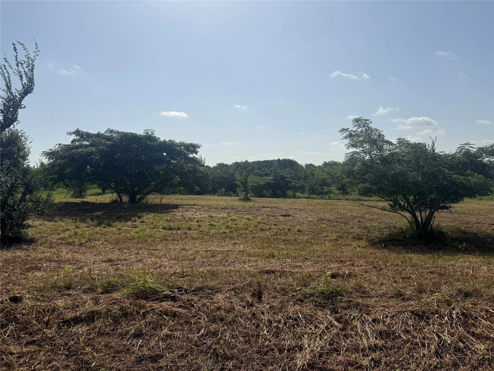Unimproved Land For Sale in Grayson County , Lot 11 Reast Road, Whitesboro, Texas 76273, 0, 0, Garage spaces, 0 Sqft, built in 0, Price $59,900, mls#21348778, Real Estate Agent in Whitesboro, Homes For Sale in Grayson county, Homes For Sale in Whitesboro, Realtor in Whitesboro Texas, Real Estate Brokerage Independent Realty Texas, Luminita Cordes Realtor