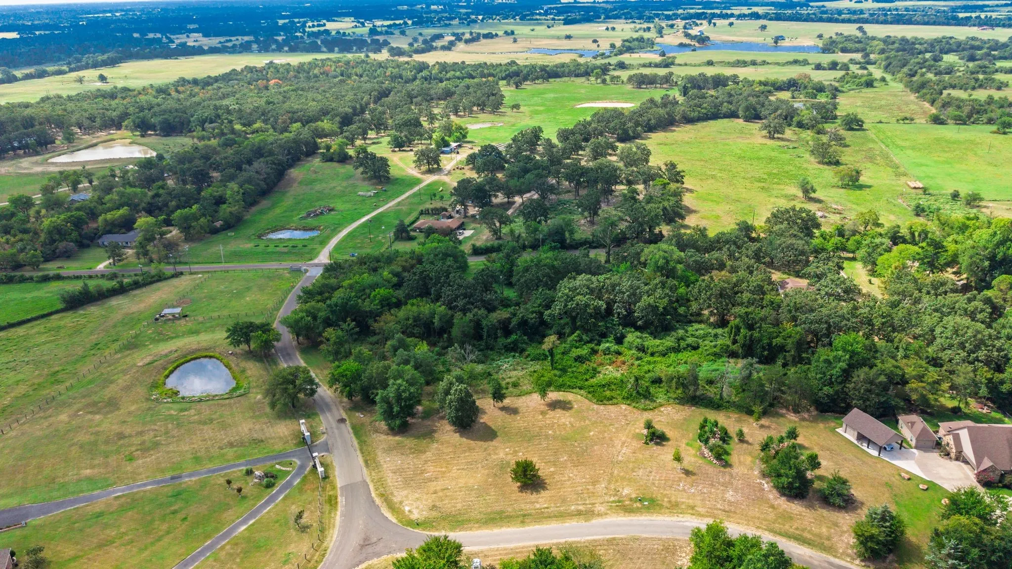 Unimproved Land For Sale in Hopkins County , 2.52 AC County Road High Point 3648 Circle, Sulphur Springs, Texas 75482, 0, 0, Garage spaces, 0 Sqft, built in 0, Price $125,000, mls#21344852, Real Estate Agent in Sulphur Springs, Homes For Sale in Hopkins county, Homes For Sale in Sulphur Springs, Realtor in Sulphur Springs Texas, Real Estate Brokerage Independent Realty Texas, Luminita Cordes Realtor