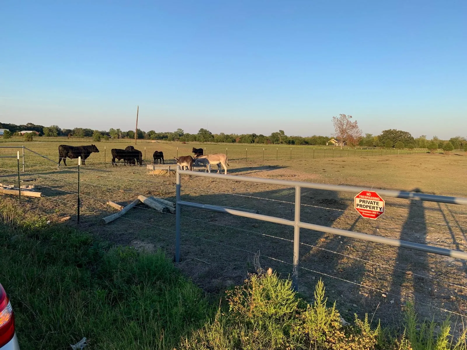 Expansive agricultural land featuring a metal fence, grazing livestock, and a distant treeline under a clear sky