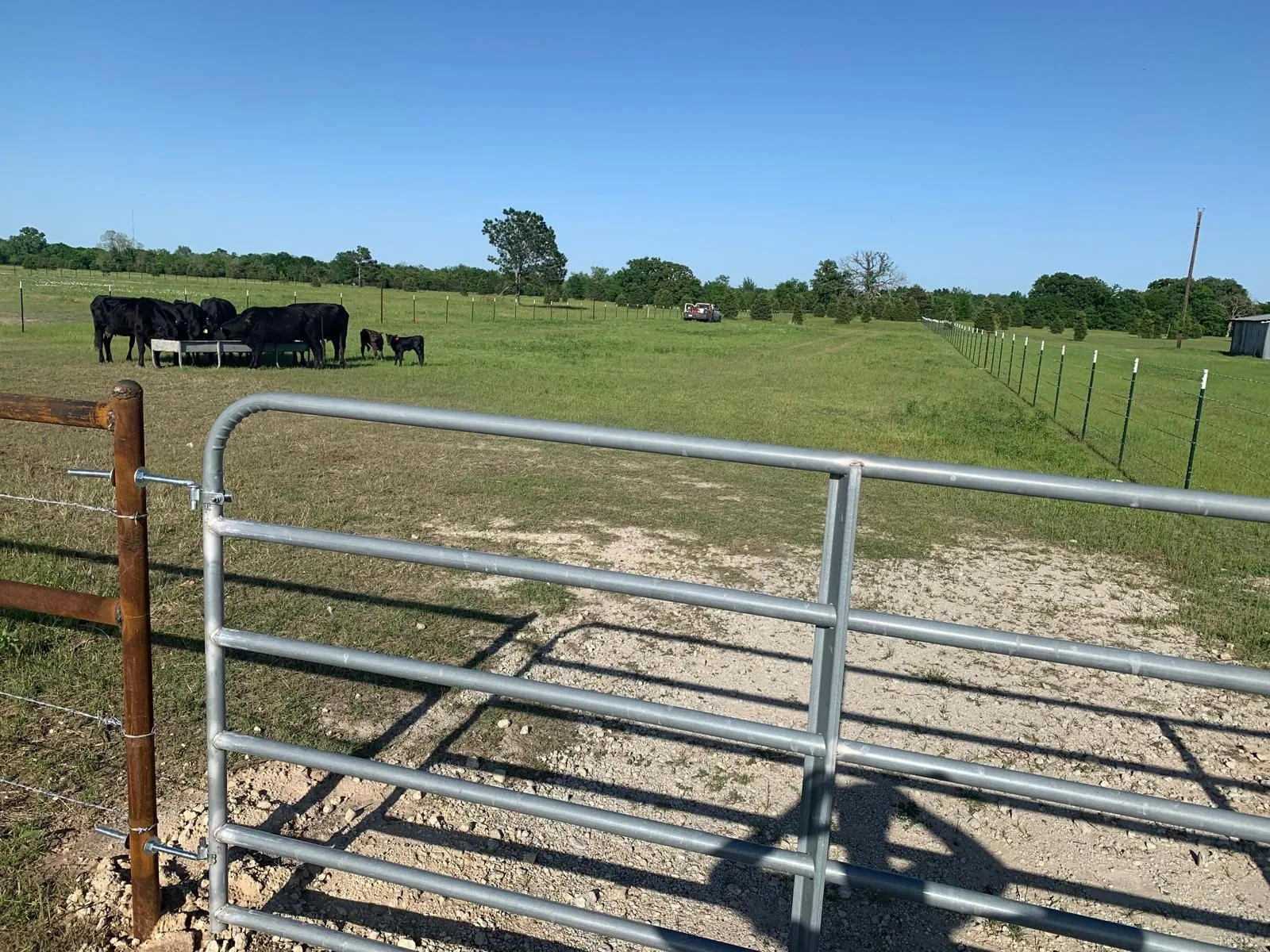 Unimproved Land For Sale in Kaufman County , 10658 County Road 350, Terrell, Texas 75160, 0, 0, Garage spaces, 0 Sqft, built in 0, mls#21349930, Real Estate Agent in Terrell, Homes For Sale in Kaufman county, Homes For Sale in Terrell, Realtor in Terrell Texas, Real Estate Brokerage Independent Realty Texas, Luminita Cordes Realtor