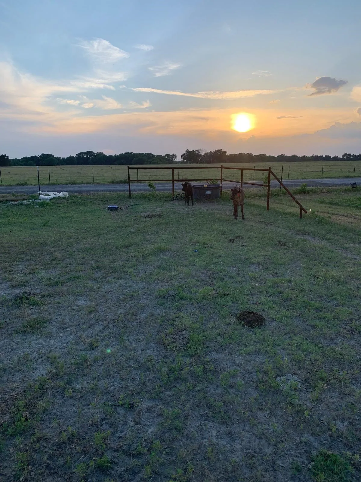Expansive rural acreage featuring open pastureland with rustic fencing and functional outbuildings