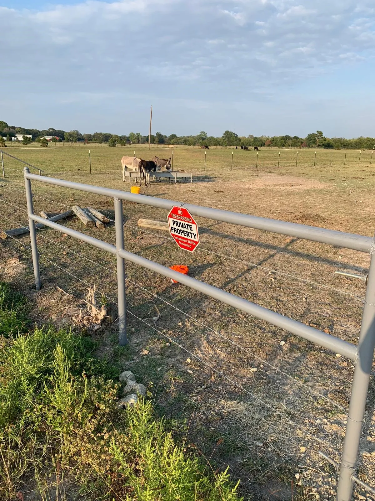 Unimproved Land For Sale in Kaufman County , 10658 County Road 350, Terrell, Texas 75160, 0, 0, Garage spaces, 0 Sqft, built in 0, mls#21349930, Real Estate Agent in Terrell, Homes For Sale in Kaufman county, Homes For Sale in Terrell, Realtor in Terrell Texas, Real Estate Brokerage Independent Realty Texas, Luminita Cordes Realtor