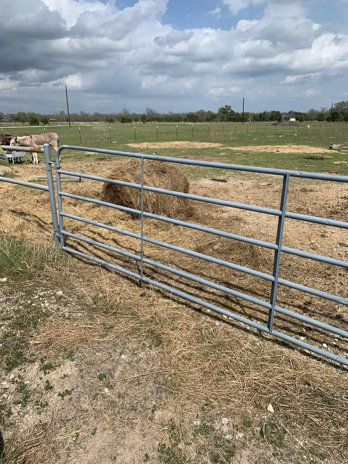 Sturdy metal ranch gate with horizontal bar construction, providing secure livestock containment