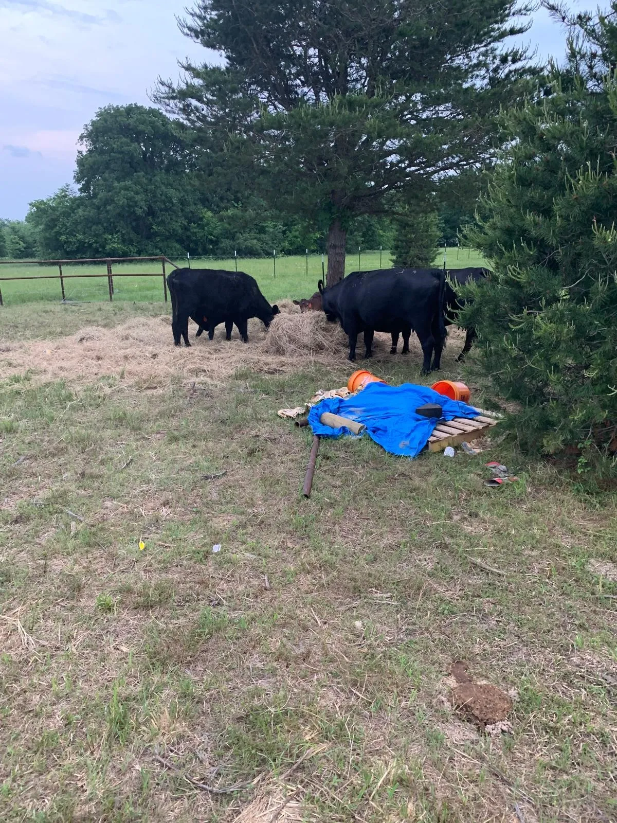 Unimproved Land For Sale in Kaufman County , 10658 County Road 350, Terrell, Texas 75160, 0, 0, Garage spaces, 0 Sqft, built in 0, mls#21349930, Real Estate Agent in Terrell, Homes For Sale in Kaufman county, Homes For Sale in Terrell, Realtor in Terrell Texas, Real Estate Brokerage Independent Realty Texas, Luminita Cordes Realtor