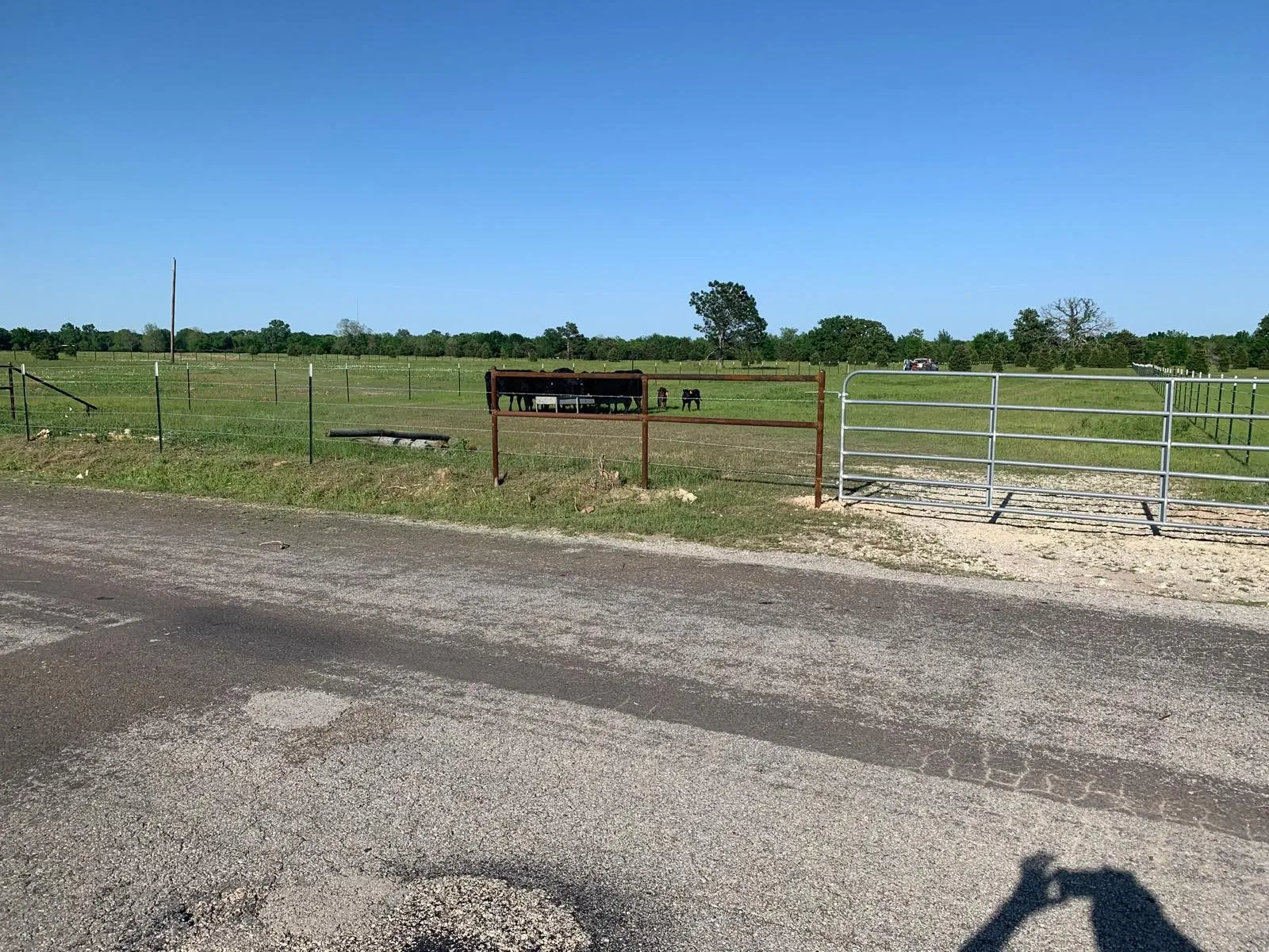 Unimproved Land For Sale in Kaufman County , 10658 County Road 350, Terrell, Texas 75160, 0, 0, Garage spaces, 0 Sqft, built in 0, mls#21349930, Real Estate Agent in Terrell, Homes For Sale in Kaufman county, Homes For Sale in Terrell, Realtor in Terrell Texas, Real Estate Brokerage Independent Realty Texas, Luminita Cordes Realtor