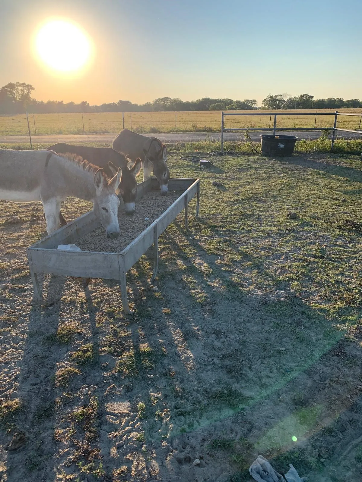 Spacious pasture with post-and-rail fencing, multiple feeding stations, and expansive grounds ideal for livestock management