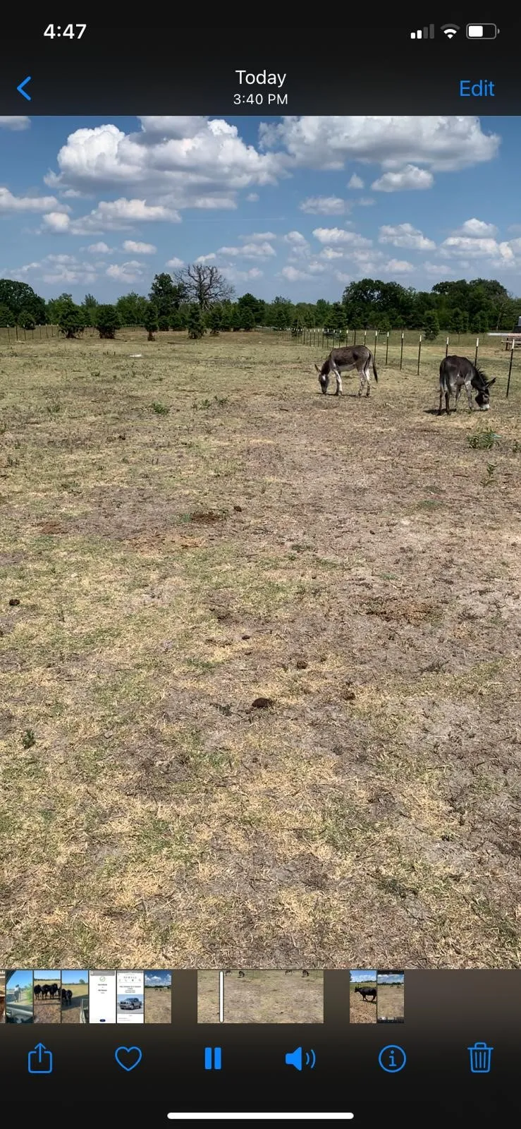 Unimproved Land For Sale in Kaufman County , 10658 County Road 350, Terrell, Texas 75160, 0, 0, Garage spaces, 0 Sqft, built in 0, mls#21349930, Real Estate Agent in Terrell, Homes For Sale in Kaufman county, Homes For Sale in Terrell, Realtor in Terrell Texas, Real Estate Brokerage Independent Realty Texas, Luminita Cordes Realtor