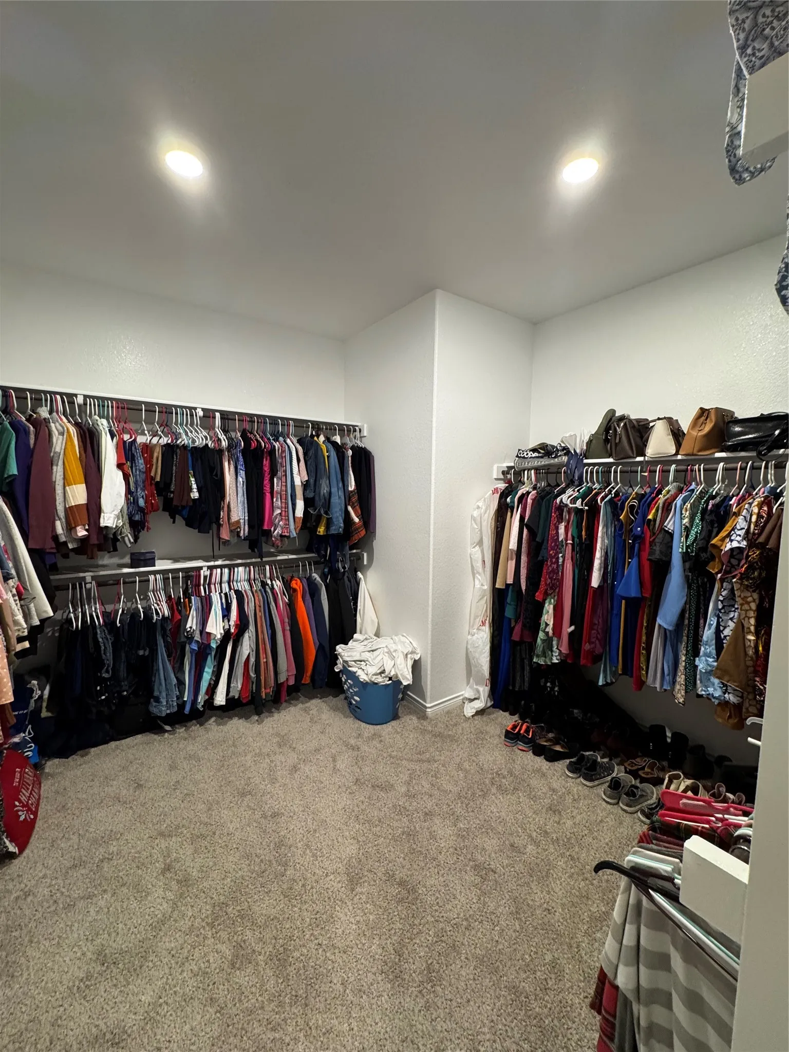 Spacious closet featuring carpet