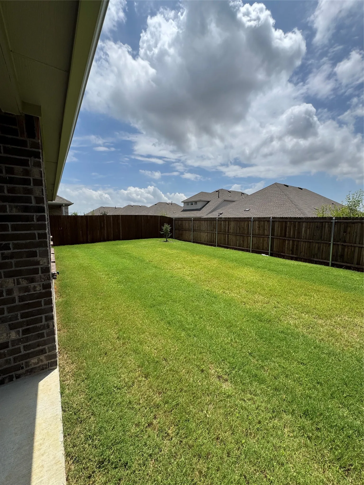 View of fenced backyard