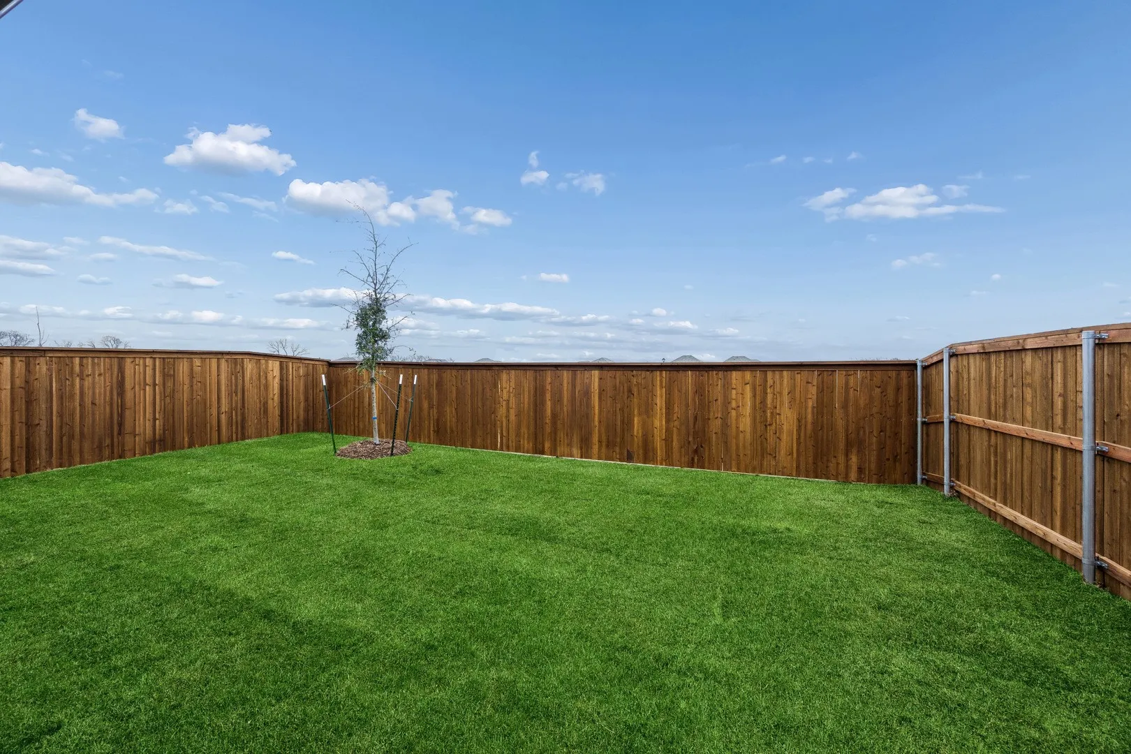 Yard in the Cedar home plan by Trophy Signature Homes – REPRESENTATIVE PHOTO