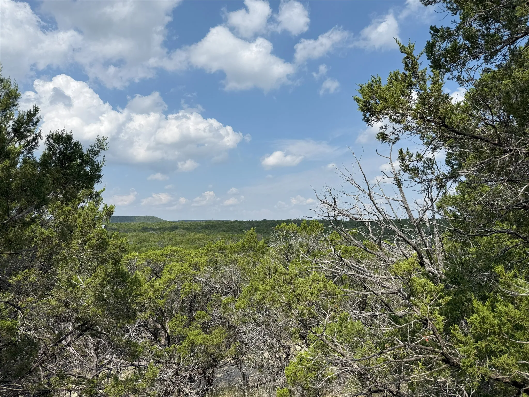 Improved Land For Sale in Somervell County , TBD CR2010 Road 3, Glen Rose, Texas 76043, 0, 0, Garage spaces, 0 Sqft, built in 0, Price $465,000, mls#21350108, Real Estate Agent in Glen Rose, Homes For Sale in Somervell county, Homes For Sale in Glen Rose, Realtor in Glen Rose Texas, Real Estate Brokerage Independent Realty Texas, Luminita Cordes Realtor