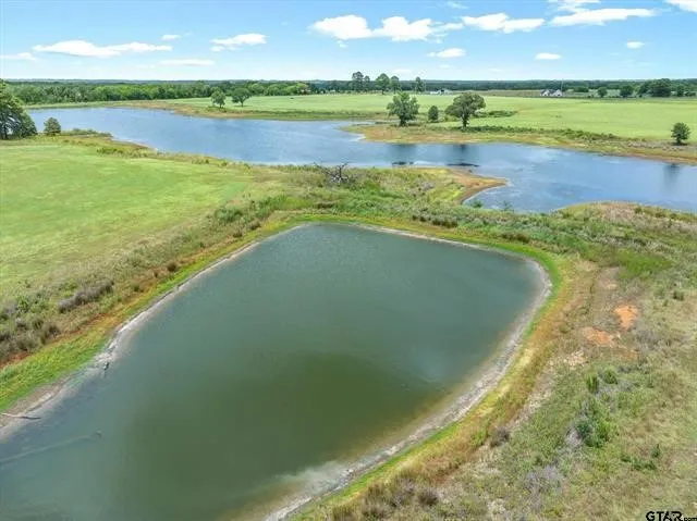 Unimproved Land For Sale in Van Zandt County , Lot 11 FM 1255, Grand Saline, Texas 75140, 0, 0, Garage spaces, 0 Sqft, built in 0, Price $459,000, mls#21349736, Real Estate Agent in Grand Saline, Homes For Sale in Van Zandt county, Homes For Sale in Grand Saline, Realtor in Grand Saline Texas, Real Estate Brokerage Independent Realty Texas, Luminita Cordes Realtor