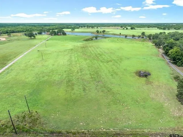 Unimproved Land For Sale in Van Zandt County , Lot 11 FM 1255, Grand Saline, Texas 75140, 0, 0, Garage spaces, 0 Sqft, built in 0, Price $459,000, mls#21349736, Real Estate Agent in Grand Saline, Homes For Sale in Van Zandt county, Homes For Sale in Grand Saline, Realtor in Grand Saline Texas, Real Estate Brokerage Independent Realty Texas, Luminita Cordes Realtor