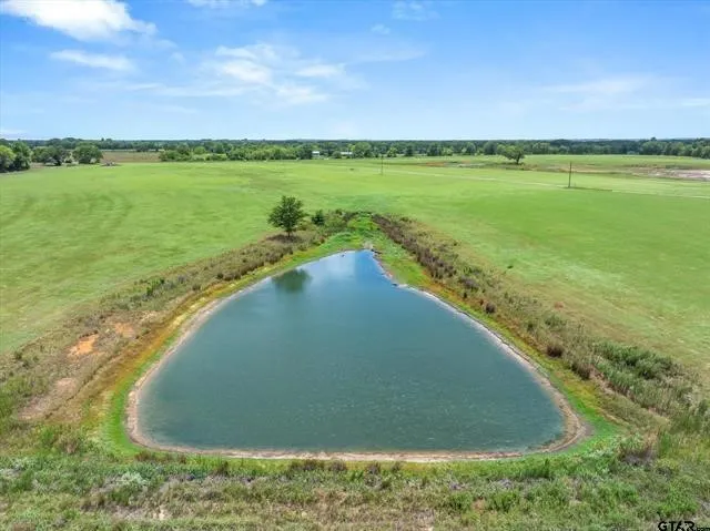Unimproved Land For Sale in Van Zandt County , Lot 11 FM 1255, Grand Saline, Texas 75140, 0, 0, Garage spaces, 0 Sqft, built in 0, Price $459,000, mls#21349736, Real Estate Agent in Grand Saline, Homes For Sale in Van Zandt county, Homes For Sale in Grand Saline, Realtor in Grand Saline Texas, Real Estate Brokerage Independent Realty Texas, Luminita Cordes Realtor