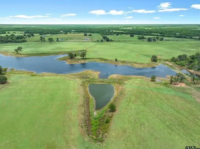 Unimproved Land For Sale in Van Zandt County , Lot 11 FM 1255, Grand Saline, Texas 75140, 0, 0, Garage spaces, 0 Sqft, built in 0, Price $459,000, mls#21349736, Real Estate Agent in Grand Saline, Homes For Sale in Van Zandt county, Homes For Sale in Grand Saline, Realtor in Grand Saline Texas, Real Estate Brokerage Independent Realty Texas, Luminita Cordes Realtor