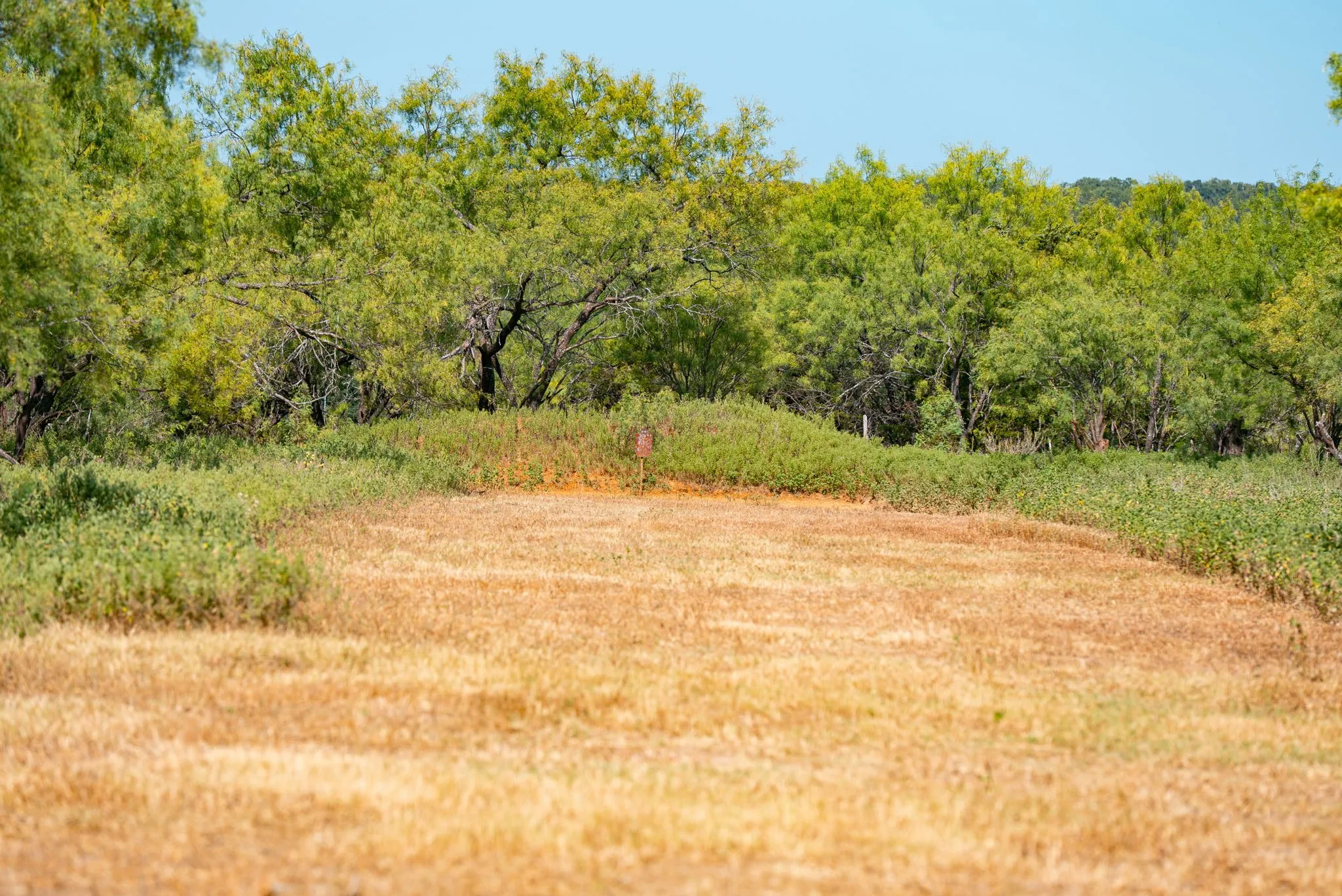 Ranch For Sale in Palo Pinto County , 897 N Wilson, Palo Pinto, Texas 76484, 0, 0, Garage spaces, 0 Sqft, built in 2023, mls#21348758, Real Estate Agent in Palo Pinto, Homes For Sale in Palo Pinto county, Homes For Sale in Palo Pinto, Realtor in Palo Pinto Texas, Real Estate Brokerage Independent Realty Texas, Luminita Cordes Realtor