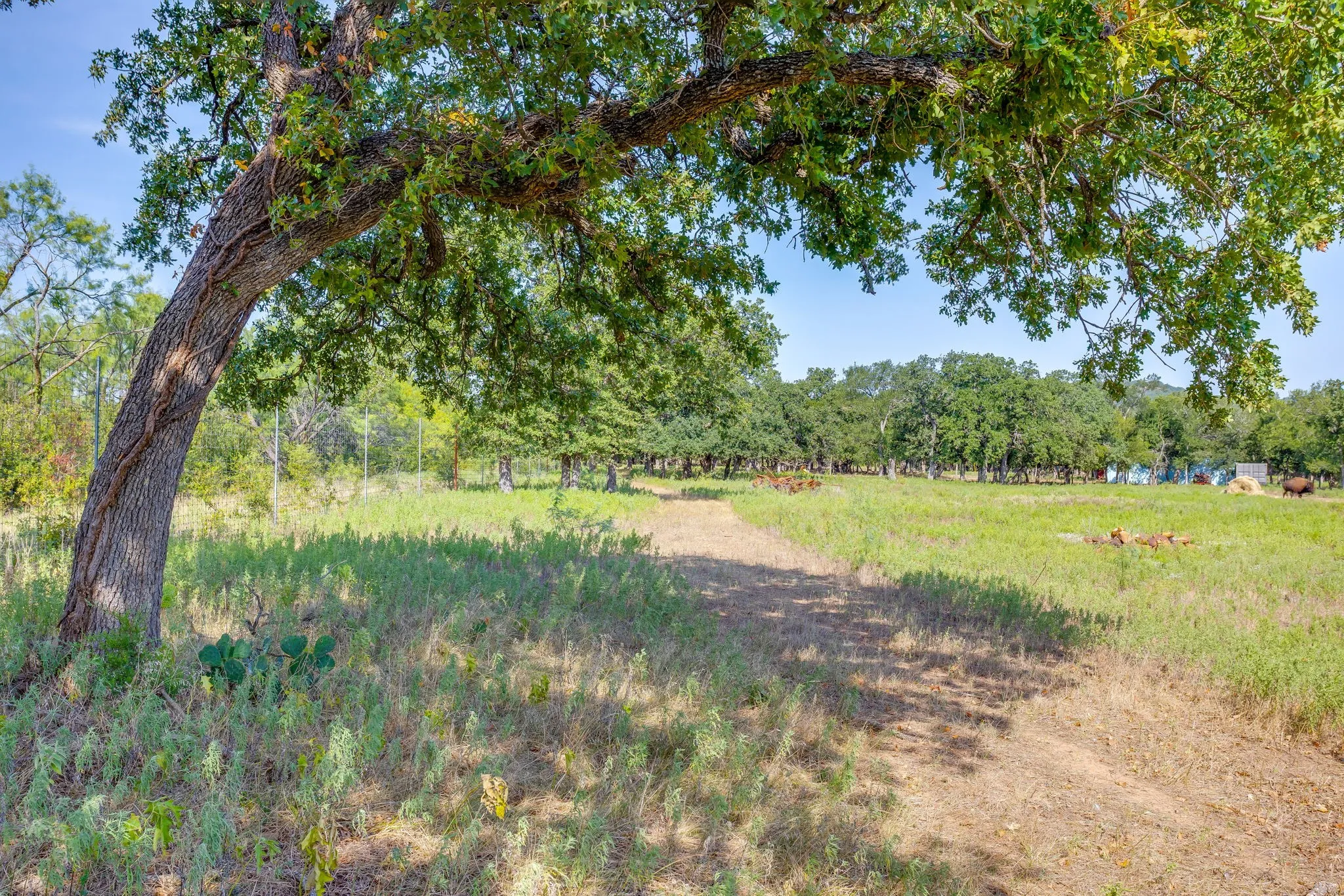 Ranch For Sale in Palo Pinto County , 897 N Wilson, Palo Pinto, Texas 76484, 0, 0, Garage spaces, 0 Sqft, built in 2023, mls#21348758, Real Estate Agent in Palo Pinto, Homes For Sale in Palo Pinto county, Homes For Sale in Palo Pinto, Realtor in Palo Pinto Texas, Real Estate Brokerage Independent Realty Texas, Luminita Cordes Realtor