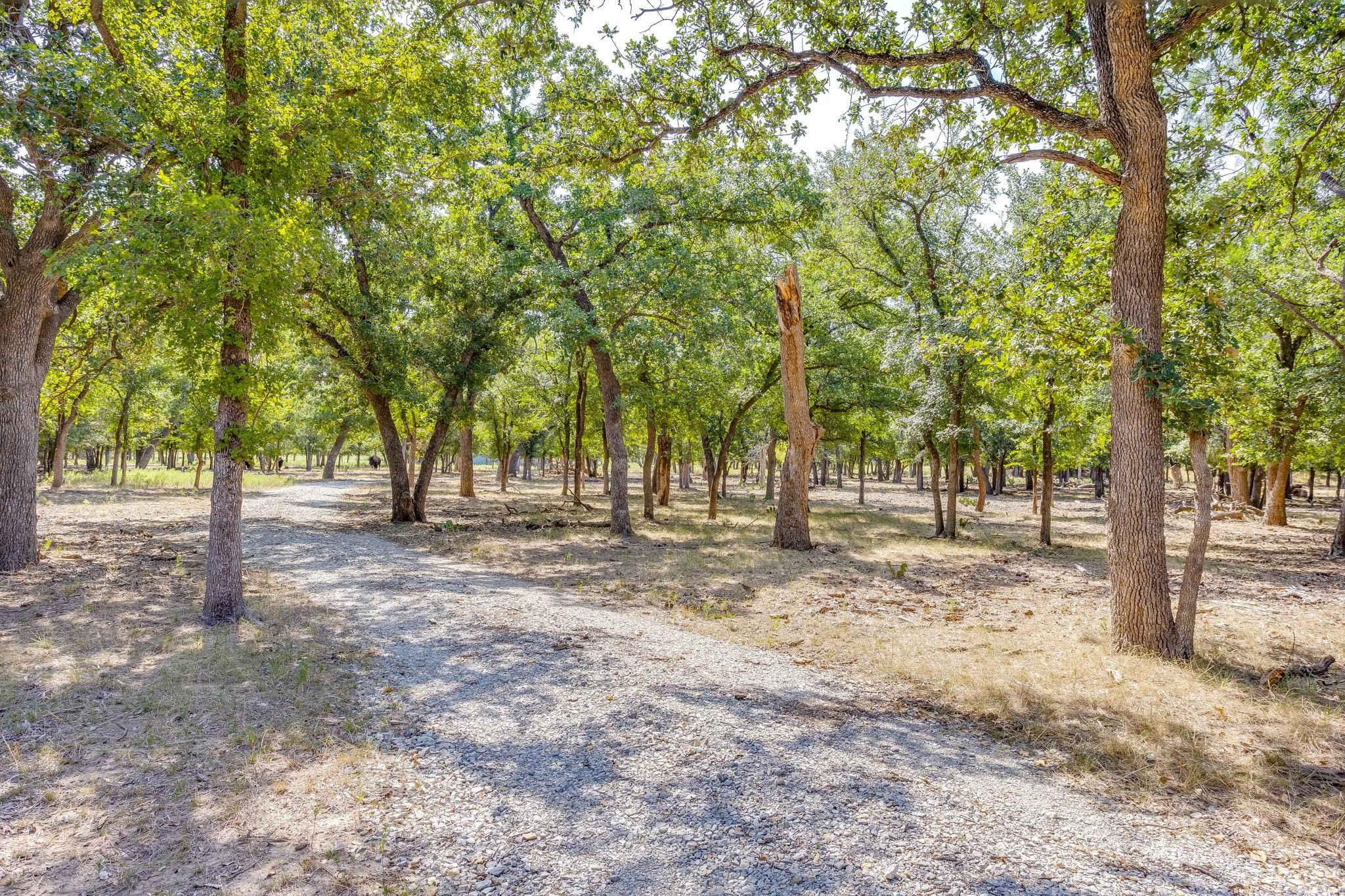 Ranch For Sale in Palo Pinto County , 897 N Wilson, Palo Pinto, Texas 76484, 0, 0, Garage spaces, 0 Sqft, built in 2023, mls#21348758, Real Estate Agent in Palo Pinto, Homes For Sale in Palo Pinto county, Homes For Sale in Palo Pinto, Realtor in Palo Pinto Texas, Real Estate Brokerage Independent Realty Texas, Luminita Cordes Realtor