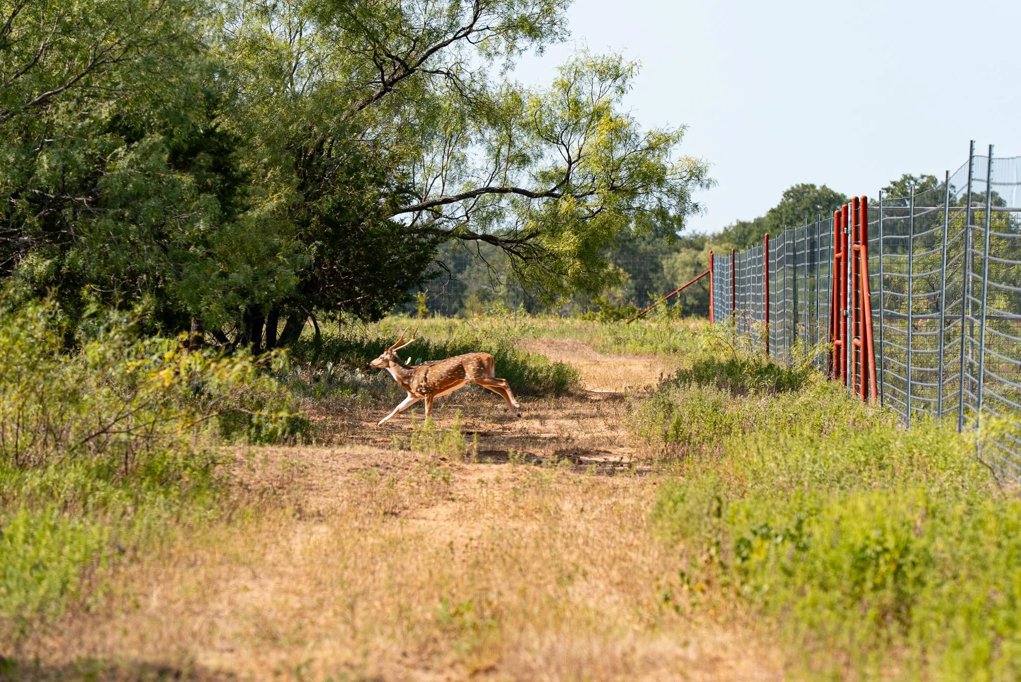 Ranch For Sale in Palo Pinto County , 897 N Wilson, Palo Pinto, Texas 76484, 0, 0, Garage spaces, 0 Sqft, built in 2023, mls#21348758, Real Estate Agent in Palo Pinto, Homes For Sale in Palo Pinto county, Homes For Sale in Palo Pinto, Realtor in Palo Pinto Texas, Real Estate Brokerage Independent Realty Texas, Luminita Cordes Realtor