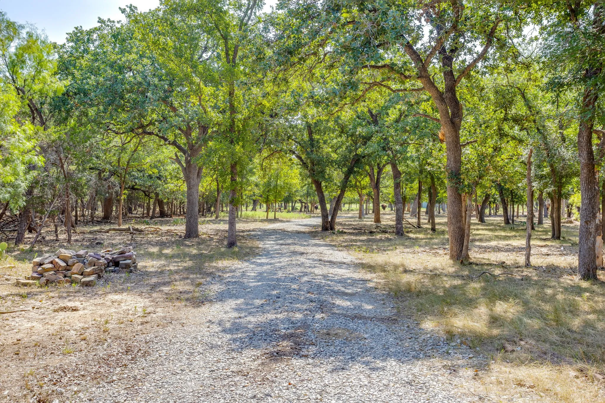 Ranch For Sale in Palo Pinto County , 897 N Wilson, Palo Pinto, Texas 76484, 0, 0, Garage spaces, 0 Sqft, built in 2023, mls#21348758, Real Estate Agent in Palo Pinto, Homes For Sale in Palo Pinto county, Homes For Sale in Palo Pinto, Realtor in Palo Pinto Texas, Real Estate Brokerage Independent Realty Texas, Luminita Cordes Realtor