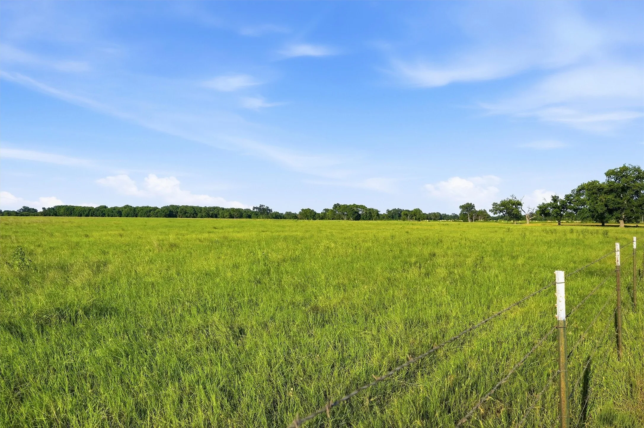 Ranch For Sale in Grayson County , 000 Oak Ridge Road, Denison, Texas 75021, 0, 0, Garage spaces, 0 Sqft, built in 0, mls#21348687, Real Estate Agent in Denison, Homes For Sale in Grayson county, Homes For Sale in Denison, Realtor in Denison Texas, Real Estate Brokerage Independent Realty Texas, Luminita Cordes Realtor