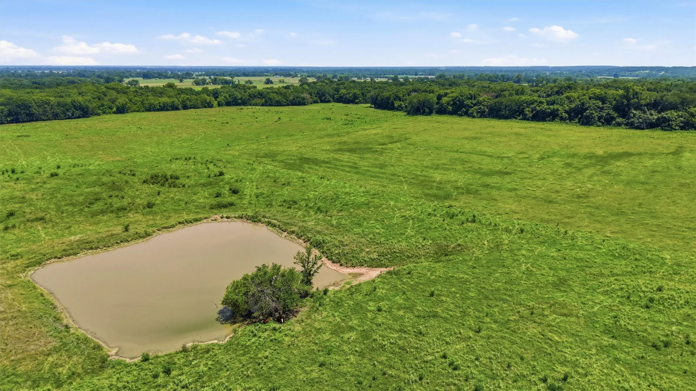 Ranch For Sale in Grayson County , 000 Oak Ridge Road, Denison, Texas 75021, 0, 0, Garage spaces, 0 Sqft, built in 0, mls#21348687, Real Estate Agent in Denison, Homes For Sale in Grayson county, Homes For Sale in Denison, Realtor in Denison Texas, Real Estate Brokerage Independent Realty Texas, Luminita Cordes Realtor