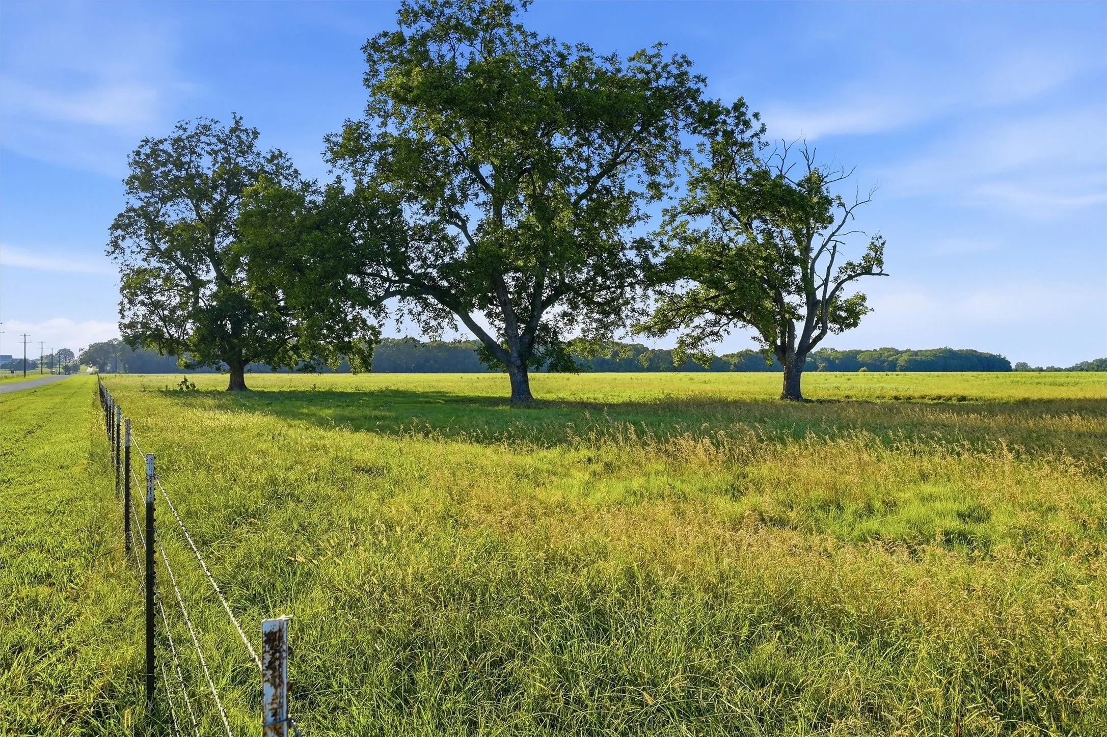 Ranch For Sale in Grayson County , 000 Oak Ridge Road, Denison, Texas 75021, 0, 0, Garage spaces, 0 Sqft, built in 0, mls#21348687, Real Estate Agent in Denison, Homes For Sale in Grayson county, Homes For Sale in Denison, Realtor in Denison Texas, Real Estate Brokerage Independent Realty Texas, Luminita Cordes Realtor