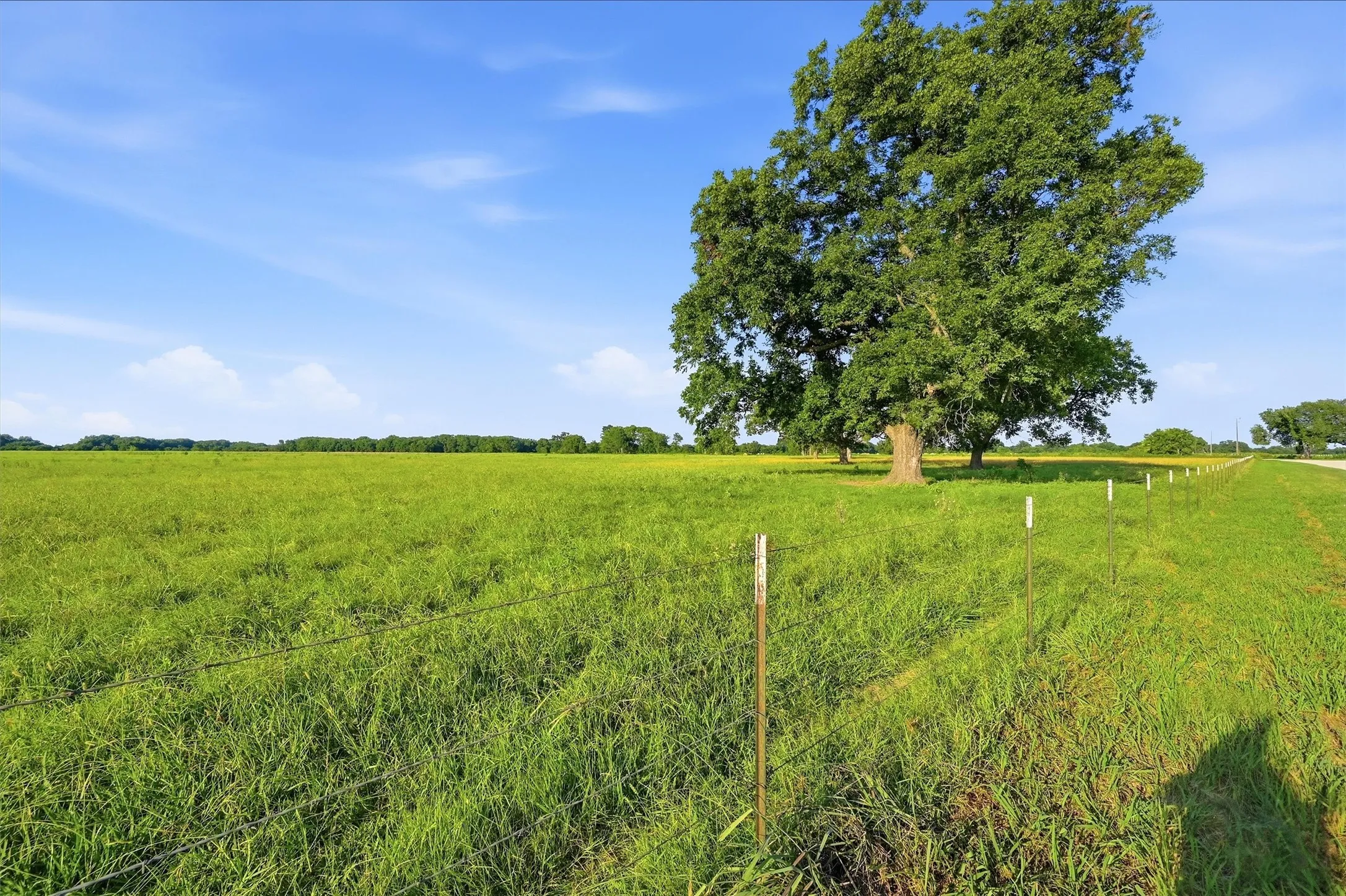 Ranch For Sale in Grayson County , 000 Oak Ridge Road, Denison, Texas 75021, 0, 0, Garage spaces, 0 Sqft, built in 0, mls#21348687, Real Estate Agent in Denison, Homes For Sale in Grayson county, Homes For Sale in Denison, Realtor in Denison Texas, Real Estate Brokerage Independent Realty Texas, Luminita Cordes Realtor