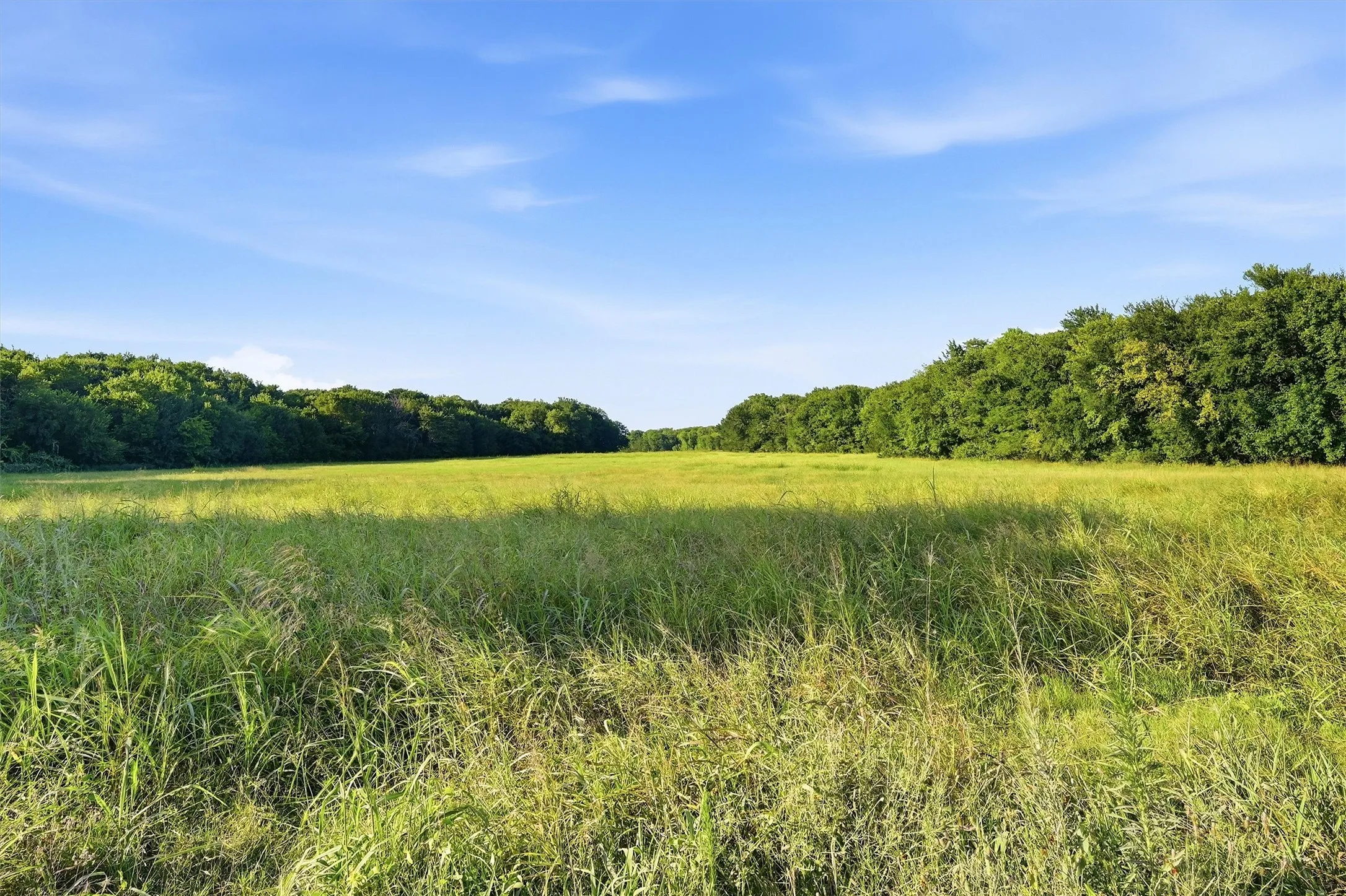 Ranch For Sale in Grayson County , 000 Oak Ridge Road, Denison, Texas 75021, 0, 0, Garage spaces, 0 Sqft, built in 0, mls#21348687, Real Estate Agent in Denison, Homes For Sale in Grayson county, Homes For Sale in Denison, Realtor in Denison Texas, Real Estate Brokerage Independent Realty Texas, Luminita Cordes Realtor