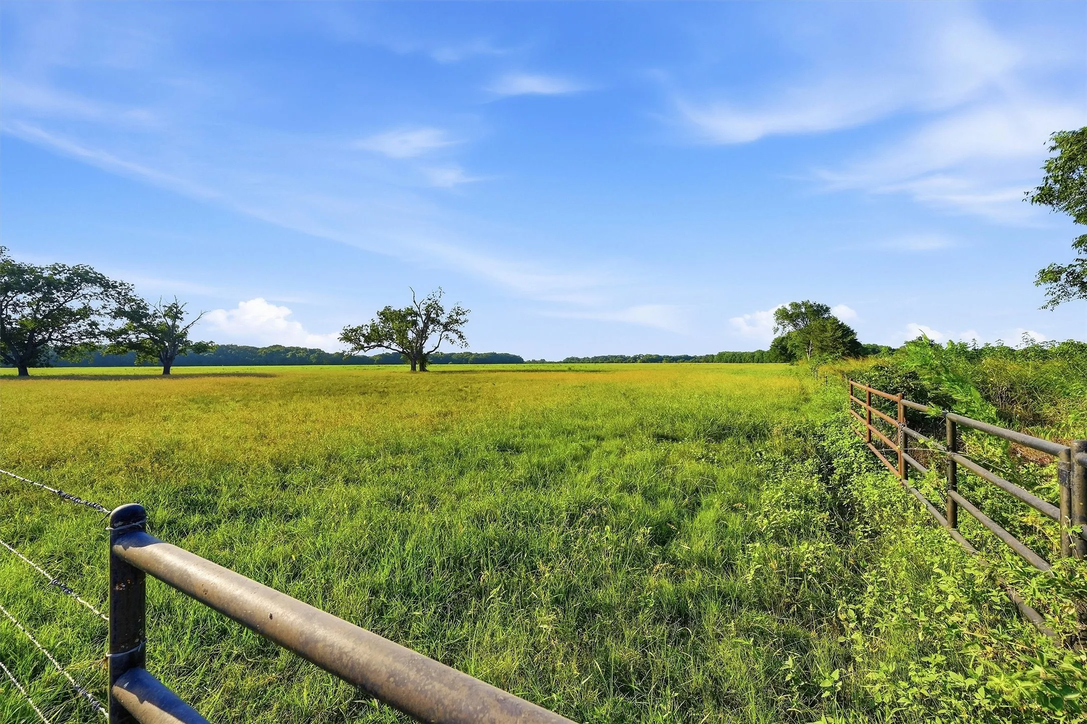 Ranch For Sale in Grayson County , 000 Oak Ridge Road, Denison, Texas 75021, 0, 0, Garage spaces, 0 Sqft, built in 0, mls#21348687, Real Estate Agent in Denison, Homes For Sale in Grayson county, Homes For Sale in Denison, Realtor in Denison Texas, Real Estate Brokerage Independent Realty Texas, Luminita Cordes Realtor