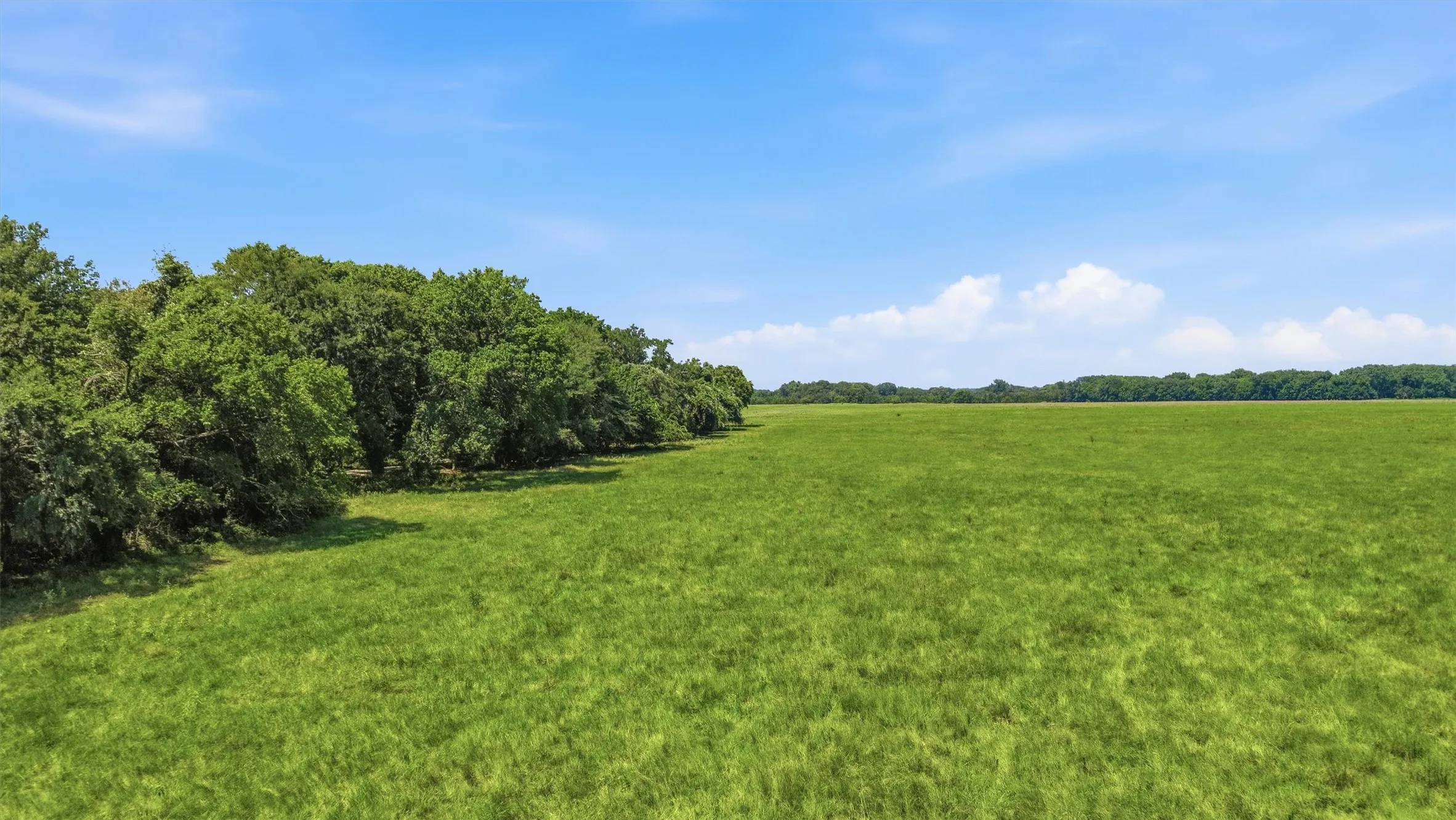 Ranch For Sale in Grayson County , 000 Oak Ridge Road, Denison, Texas 75021, 0, 0, Garage spaces, 0 Sqft, built in 0, mls#21348687, Real Estate Agent in Denison, Homes For Sale in Grayson county, Homes For Sale in Denison, Realtor in Denison Texas, Real Estate Brokerage Independent Realty Texas, Luminita Cordes Realtor
