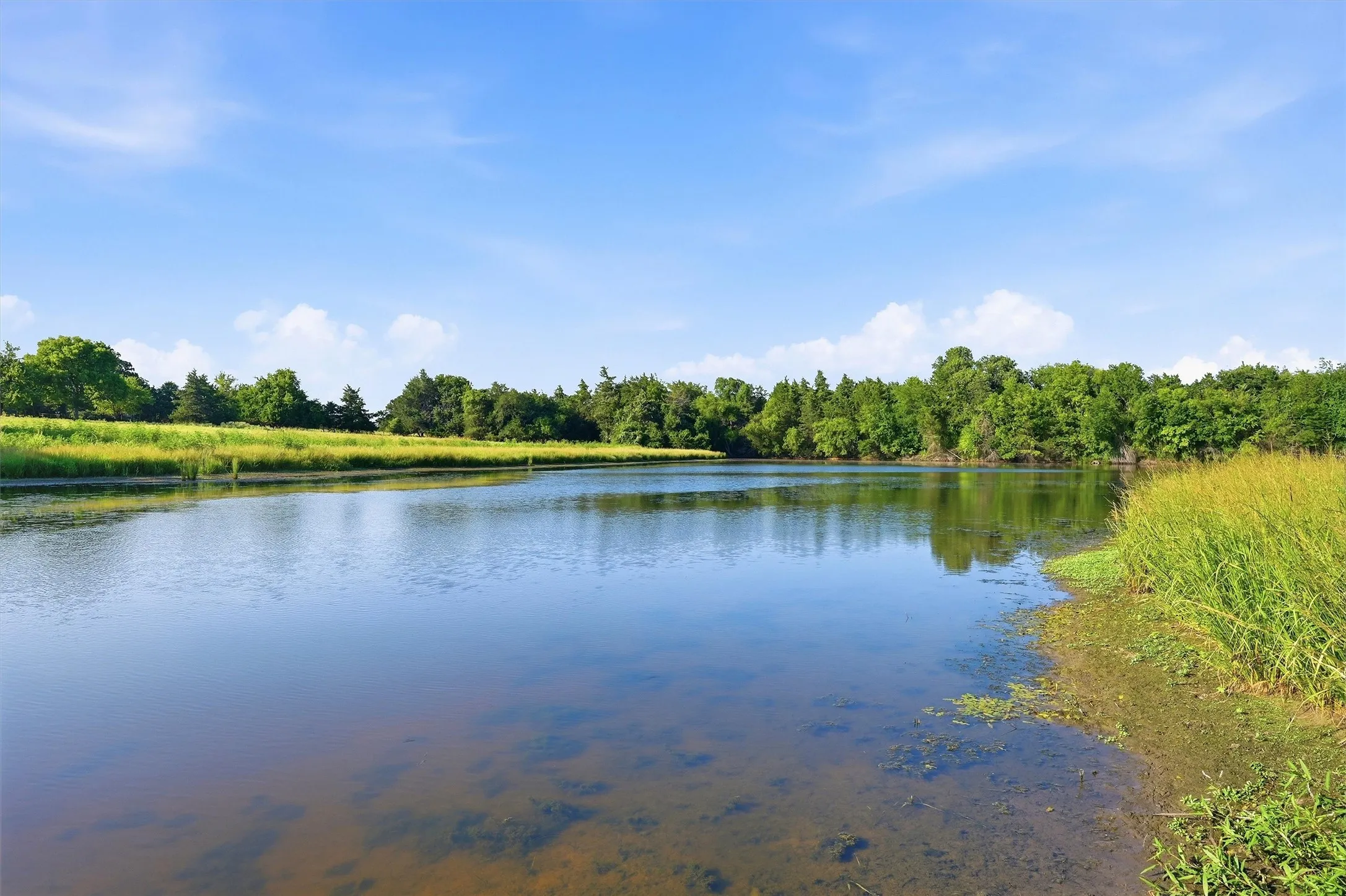 Ranch For Sale in Grayson County , 000 Oak Ridge Road, Denison, Texas 75021, 0, 0, Garage spaces, 0 Sqft, built in 0, mls#21348687, Real Estate Agent in Denison, Homes For Sale in Grayson county, Homes For Sale in Denison, Realtor in Denison Texas, Real Estate Brokerage Independent Realty Texas, Luminita Cordes Realtor