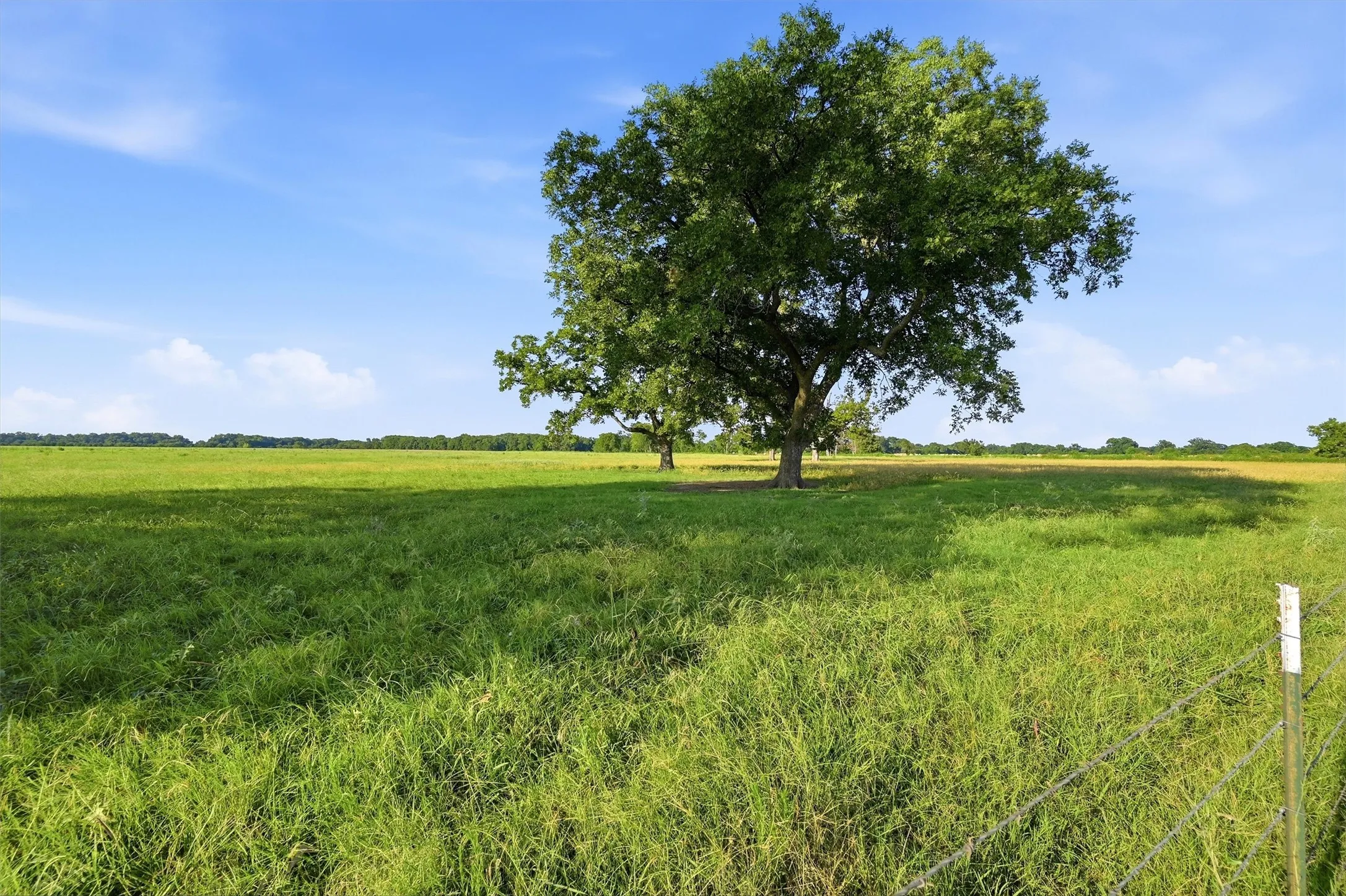 Ranch For Sale in Grayson County , 000 Oak Ridge Road, Denison, Texas 75021, 0, 0, Garage spaces, 0 Sqft, built in 0, mls#21348687, Real Estate Agent in Denison, Homes For Sale in Grayson county, Homes For Sale in Denison, Realtor in Denison Texas, Real Estate Brokerage Independent Realty Texas, Luminita Cordes Realtor