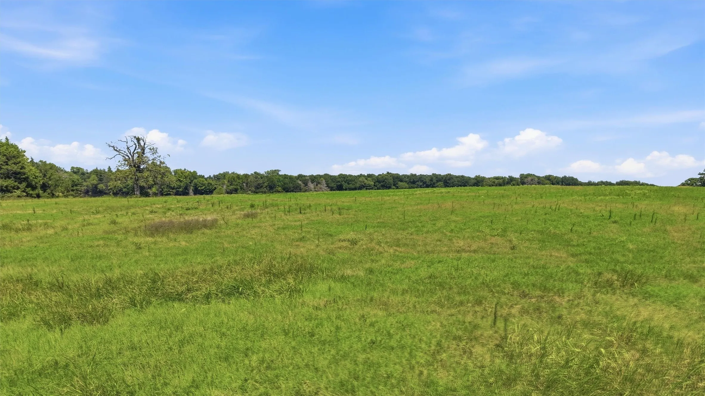Ranch For Sale in Grayson County , 000 Oak Ridge Road, Denison, Texas 75021, 0, 0, Garage spaces, 0 Sqft, built in 0, mls#21348687, Real Estate Agent in Denison, Homes For Sale in Grayson county, Homes For Sale in Denison, Realtor in Denison Texas, Real Estate Brokerage Independent Realty Texas, Luminita Cordes Realtor