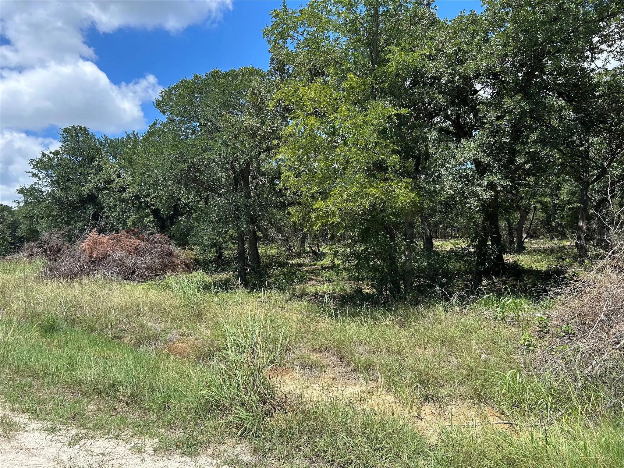 Unimproved Land For Sale in Hill County , TBD Hill County Road 1248, Whitney, Texas 76692, 0, 0, Garage spaces, 0 Sqft, built in 0, mls#21349425, Real Estate Agent in Whitney, Homes For Sale in Hill county, Homes For Sale in Whitney, Realtor in Whitney Texas, Real Estate Brokerage Independent Realty Texas, Luminita Cordes Realtor
