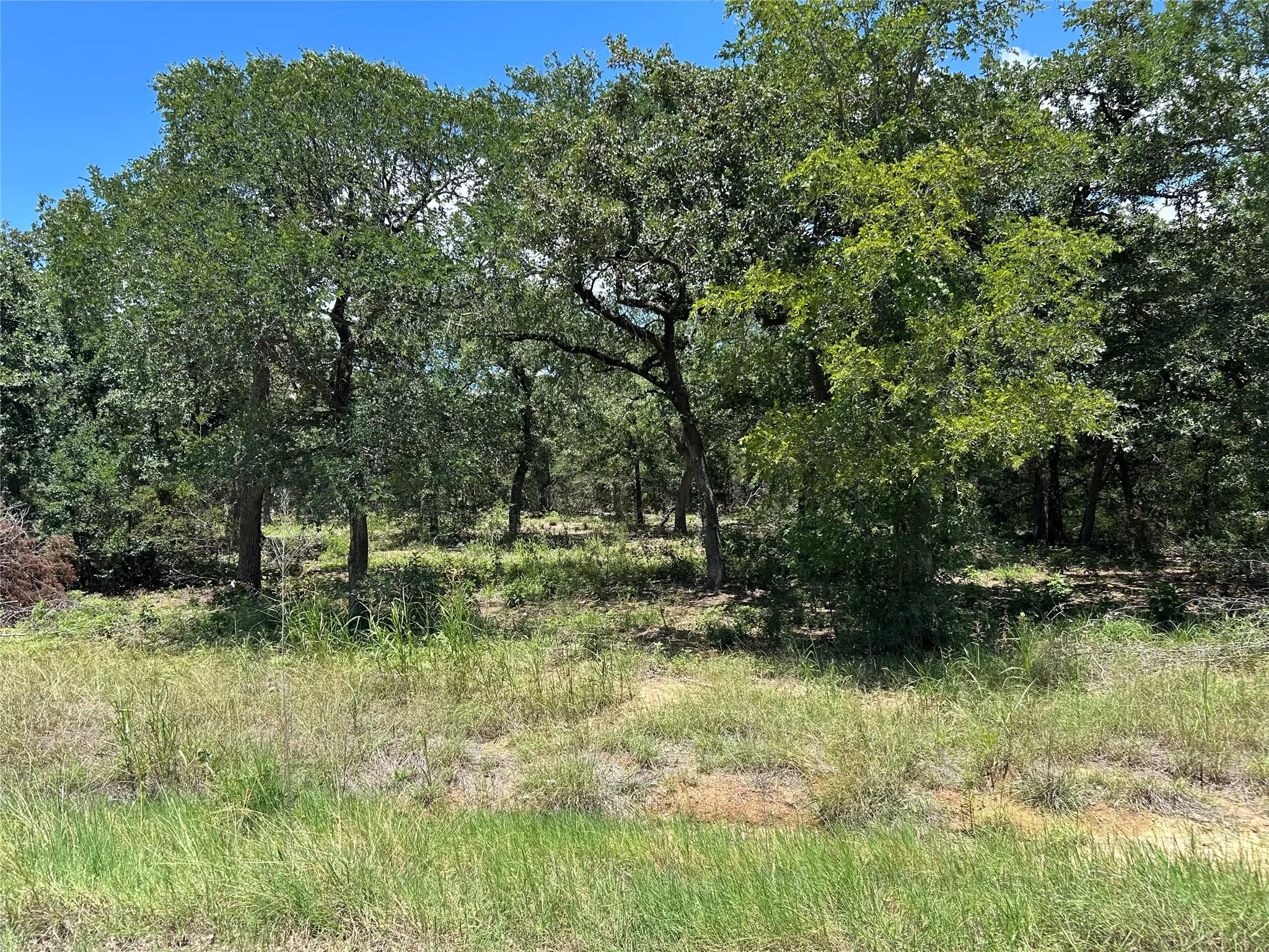 Unimproved Land For Sale in Hill County , TBD Hill County Road 1248, Whitney, Texas 76692, 0, 0, Garage spaces, 0 Sqft, built in 0, mls#21349425, Real Estate Agent in Whitney, Homes For Sale in Hill county, Homes For Sale in Whitney, Realtor in Whitney Texas, Real Estate Brokerage Independent Realty Texas, Luminita Cordes Realtor
