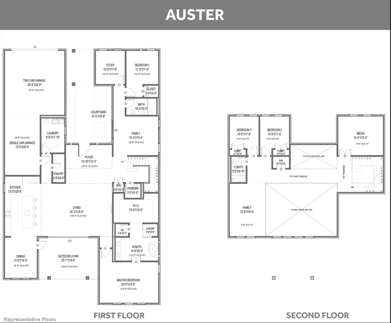 Auster
